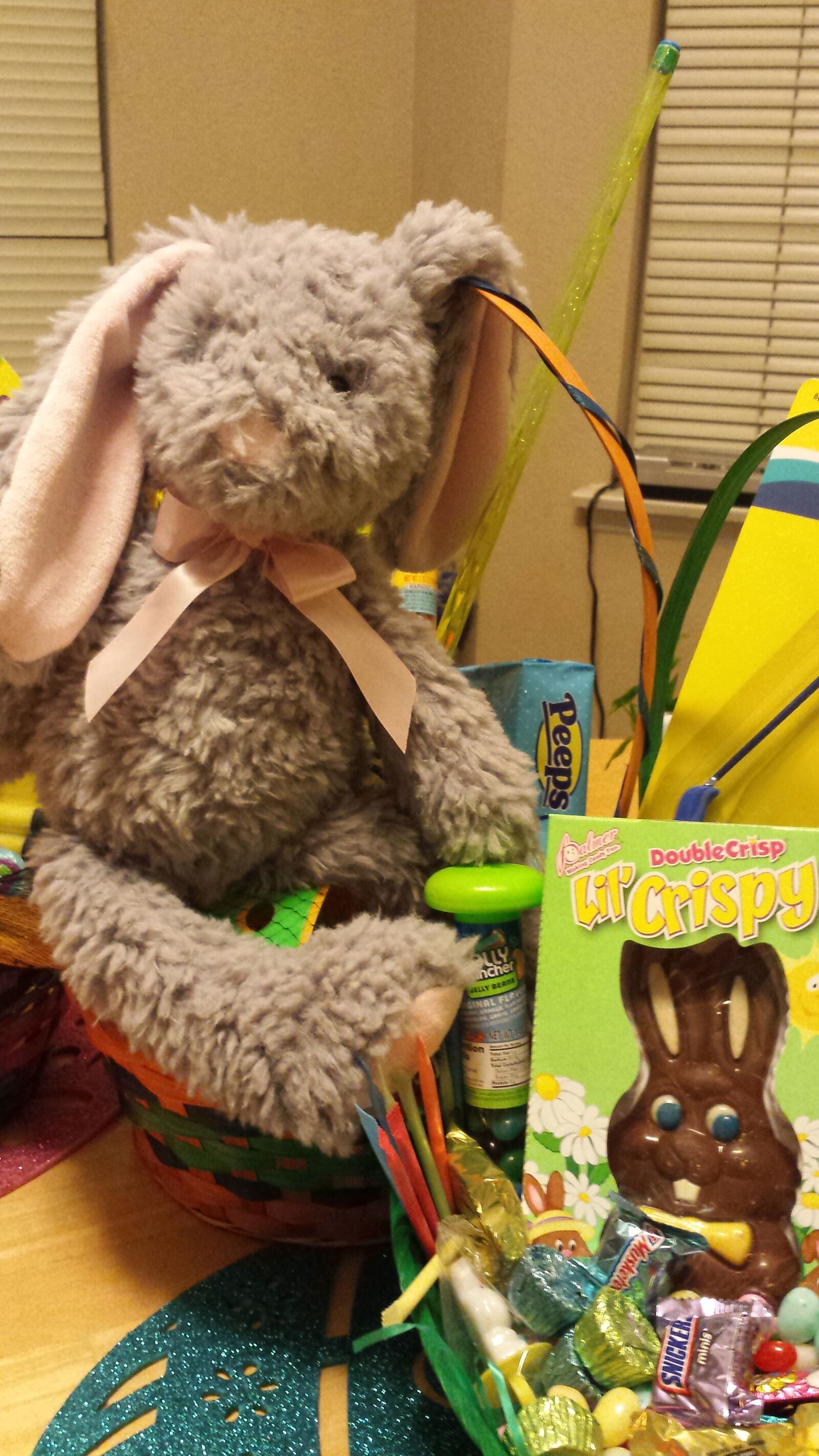 Samsung Galaxy S4 sample photo. Easter bunny, bunny, bunny photography