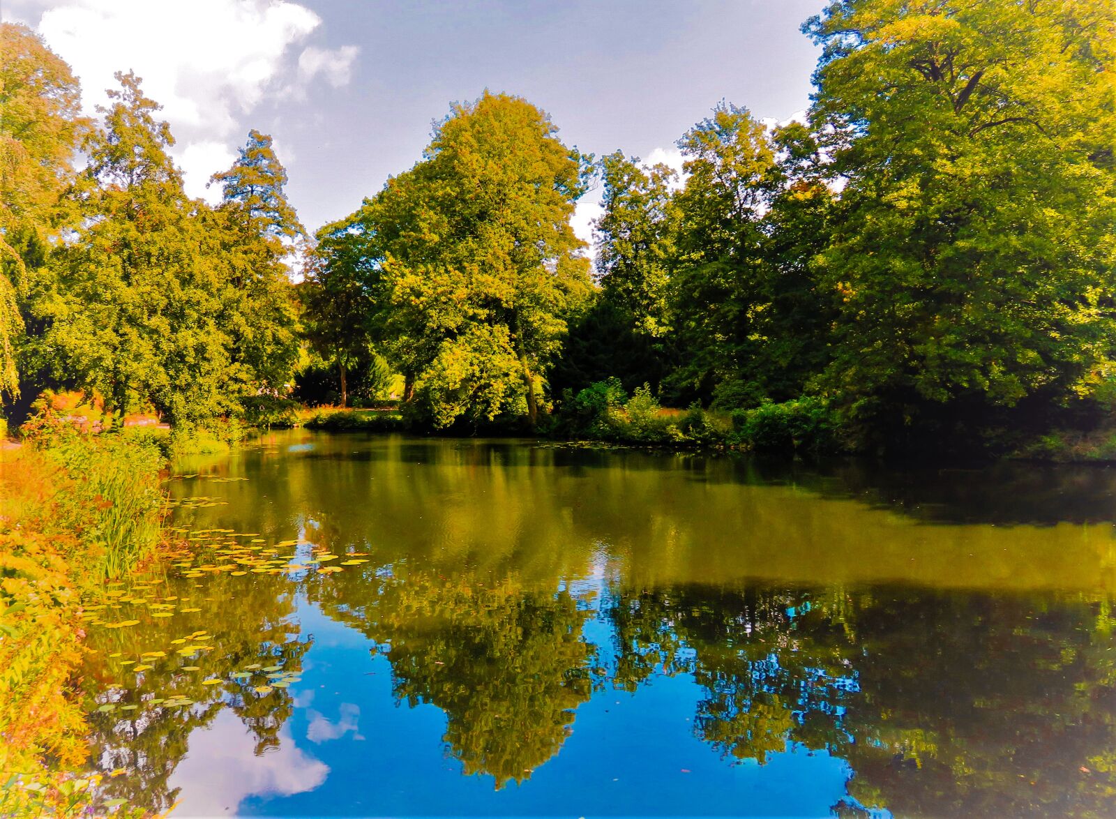 Canon PowerShot SX710 HS sample photo. Pond, lake, water photography