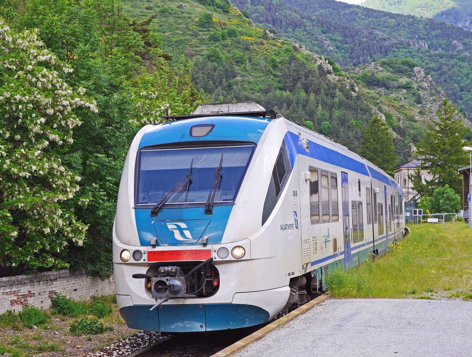 Panasonic Lumix DMC-GH3 sample photo. Train, locomotive, electromotive, grass photography