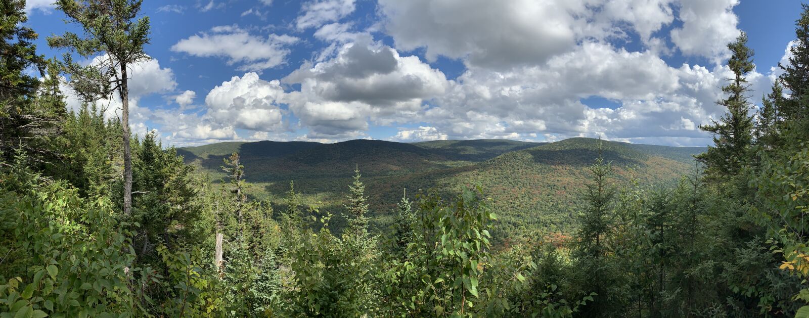 iPhone XR back camera 4.25mm f/1.8 sample photo. Mountain, cloud, trees photography
