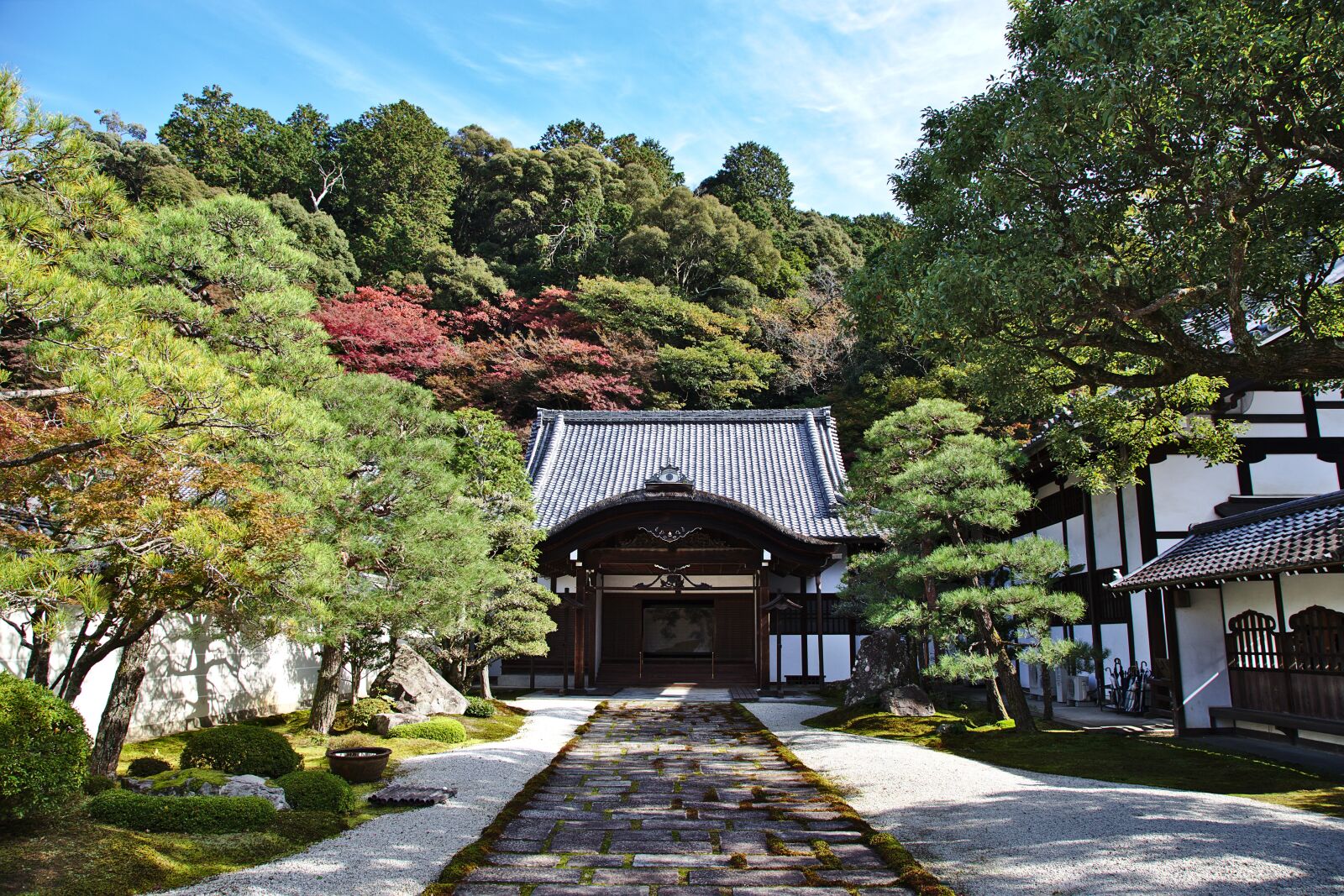 Canon EOS 6D + Canon EF 24-105mm F4L IS USM sample photo. Japan, kyoto, autumn photography