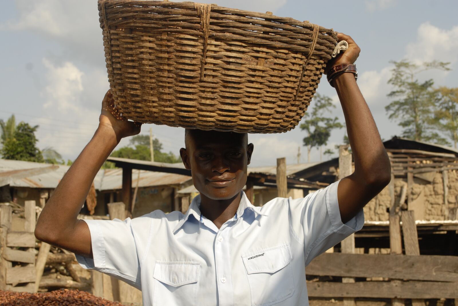 Nikon D200 sample photo. Ghana, cocoa, agriculture photography