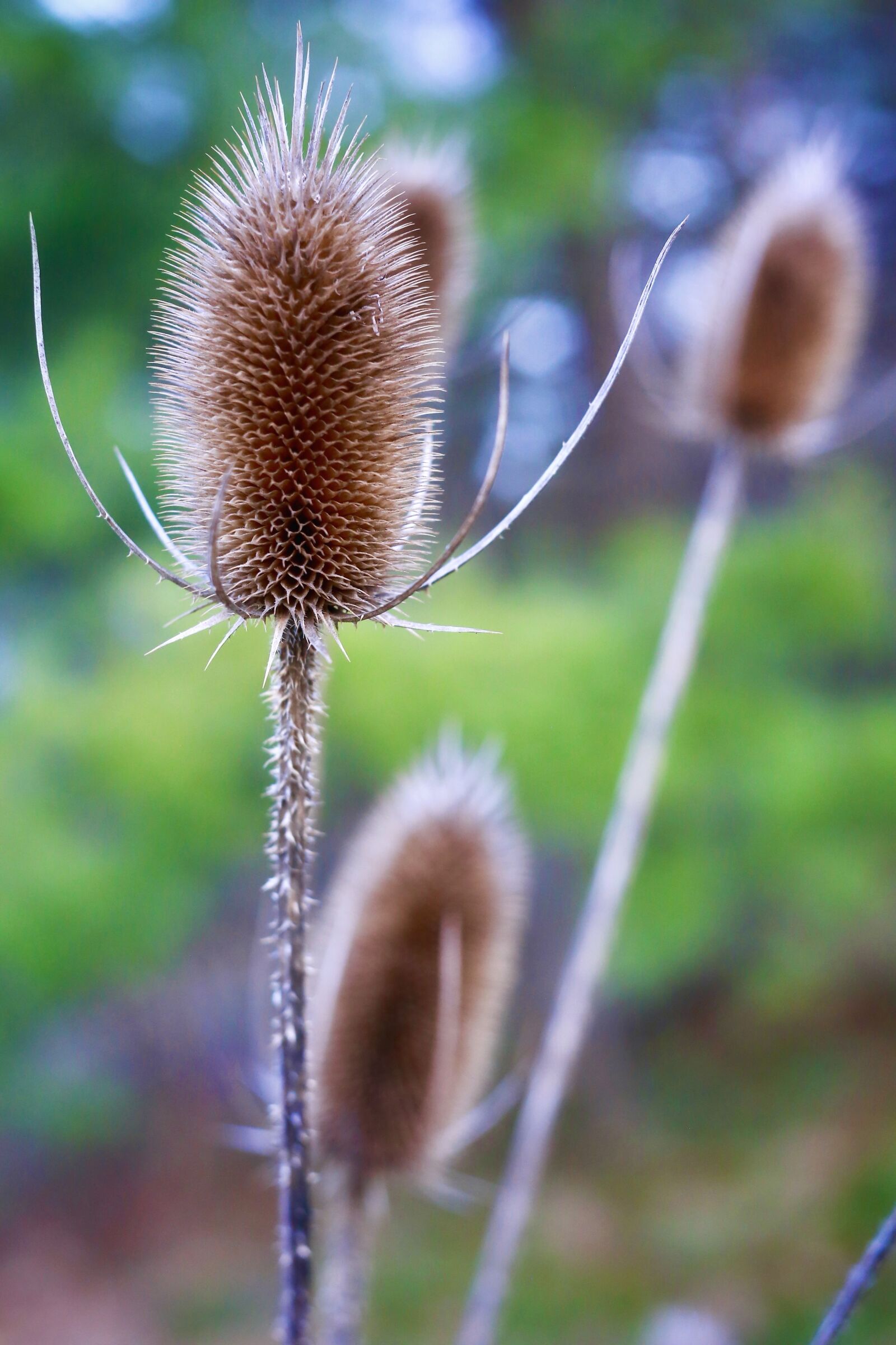 Canon EOS 6D sample photo