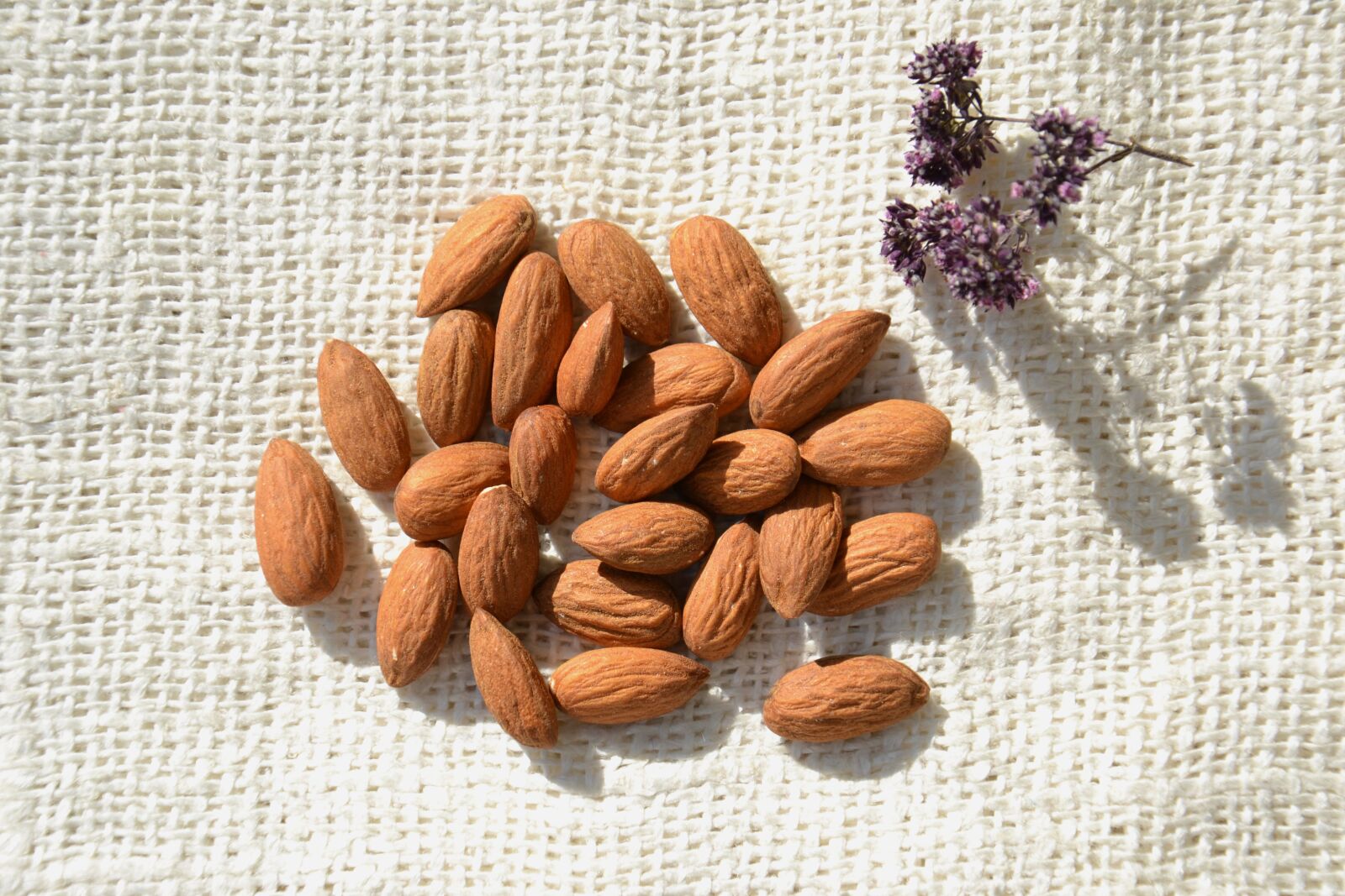 Nikon D3100 sample photo. Almond, nuts, kernel photography