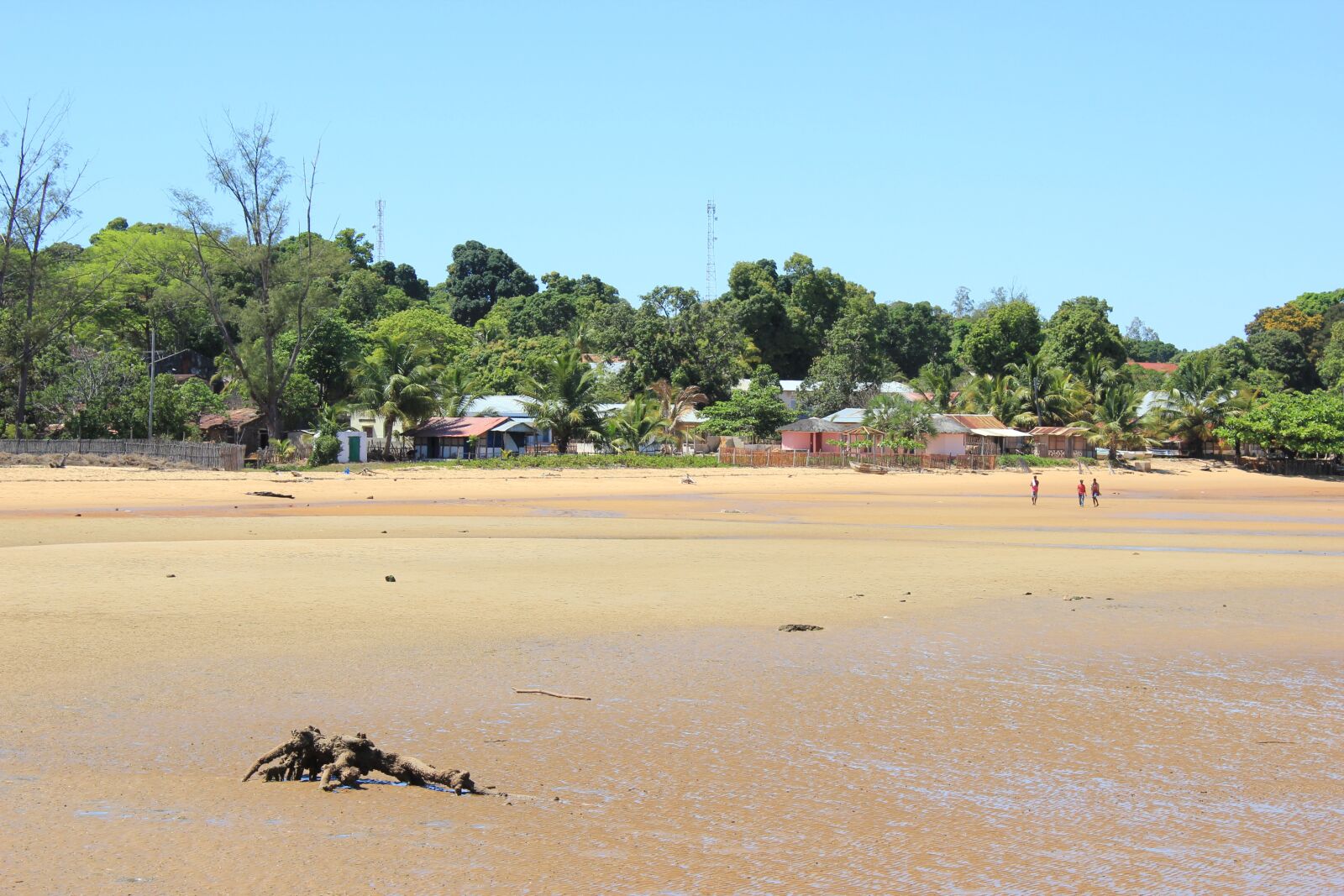 Canon EOS 550D (EOS Rebel T2i / EOS Kiss X4) sample photo. Madagascar, analalava, afrique photography