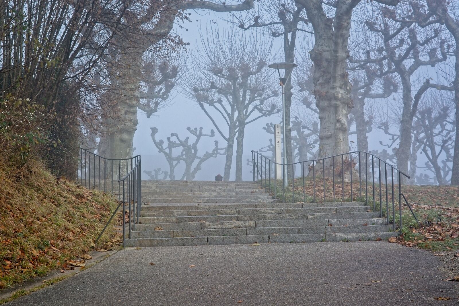 Nikon D7100 sample photo. Fog, foggy, stairs photography