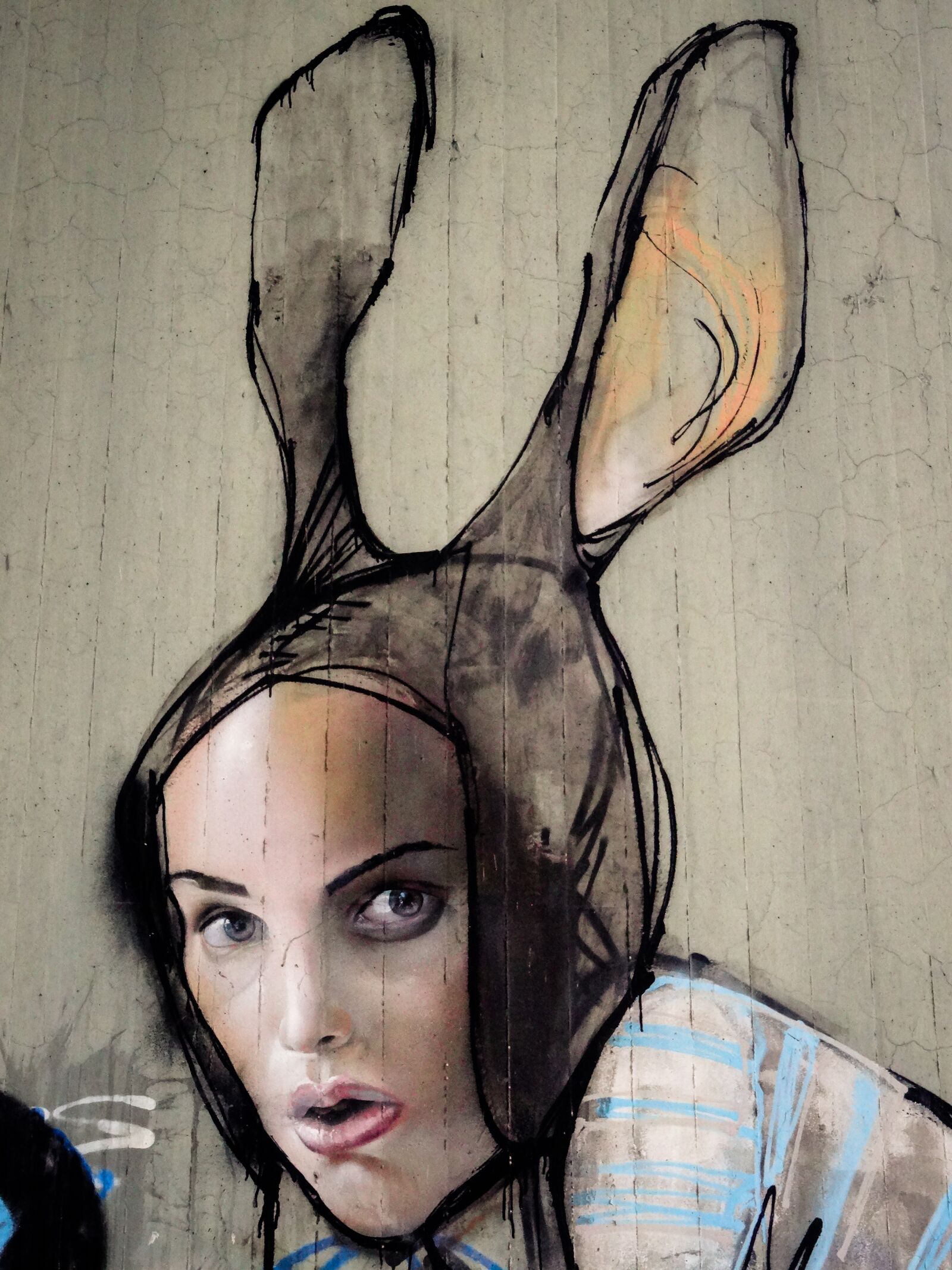 Sony Cyber-shot DSC-HX50V sample photo. Graffiti, hare, woman photography