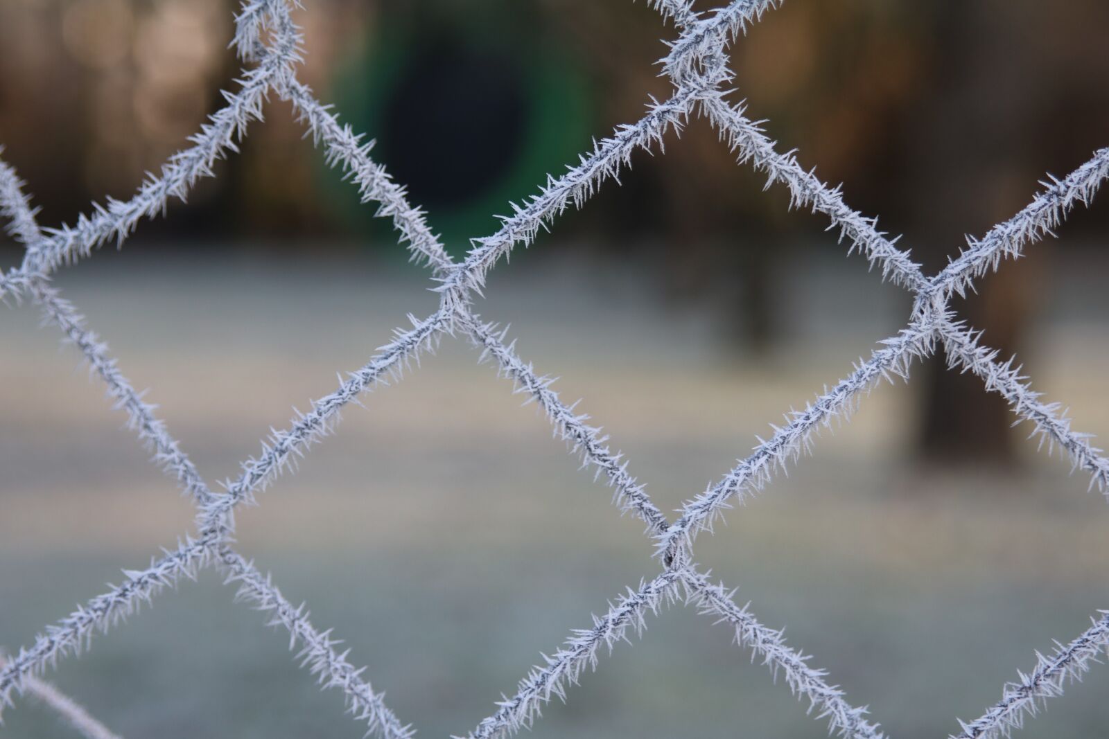 Canon EOS 750D (EOS Rebel T6i / EOS Kiss X8i) sample photo. Frost, hoarfrost, wire mesh photography