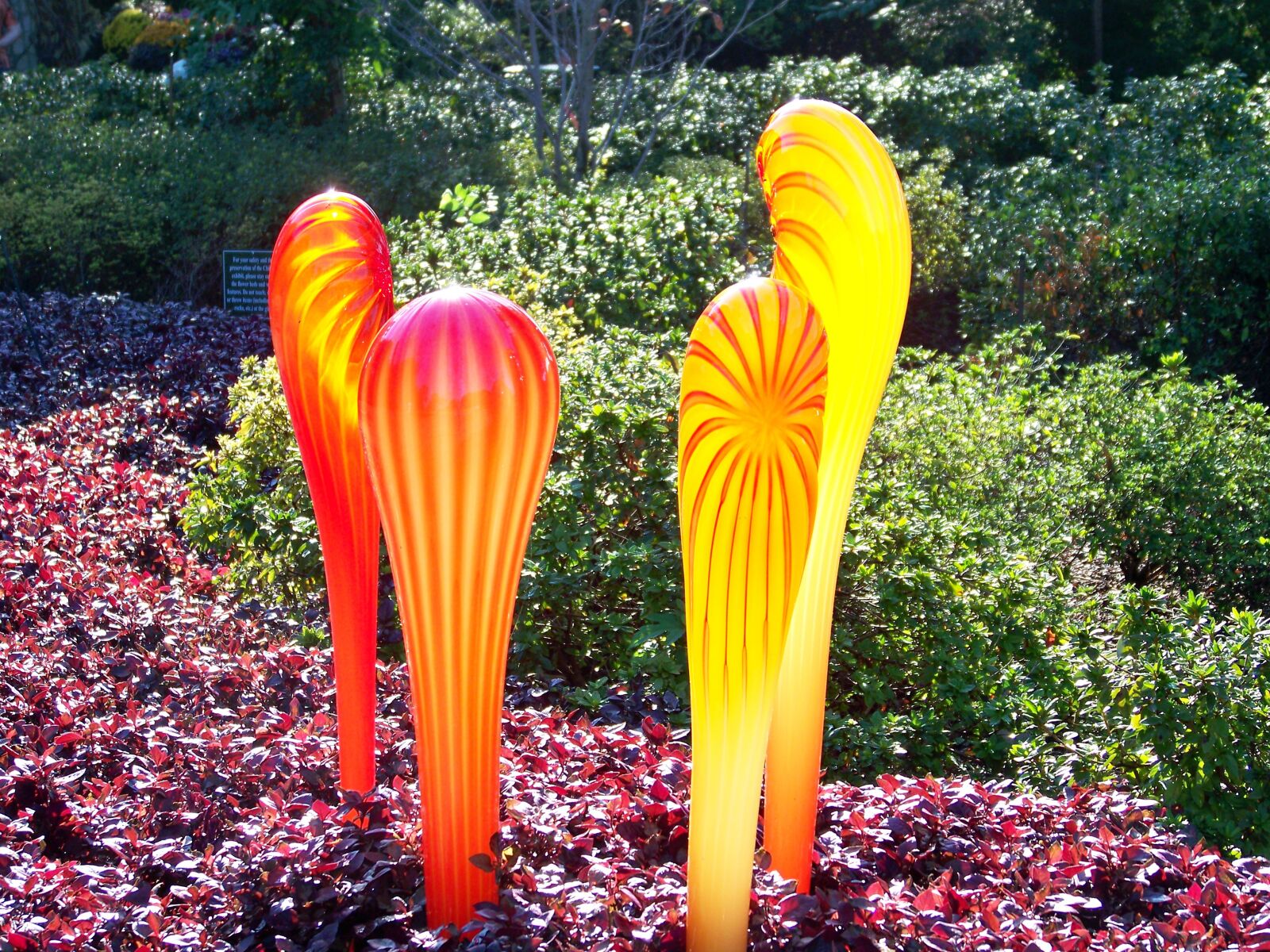 Kodak EASYSHARE Z1012 IS DIGITAL CAMERA sample photo. Chihuly, art-glass, organic-forms photography