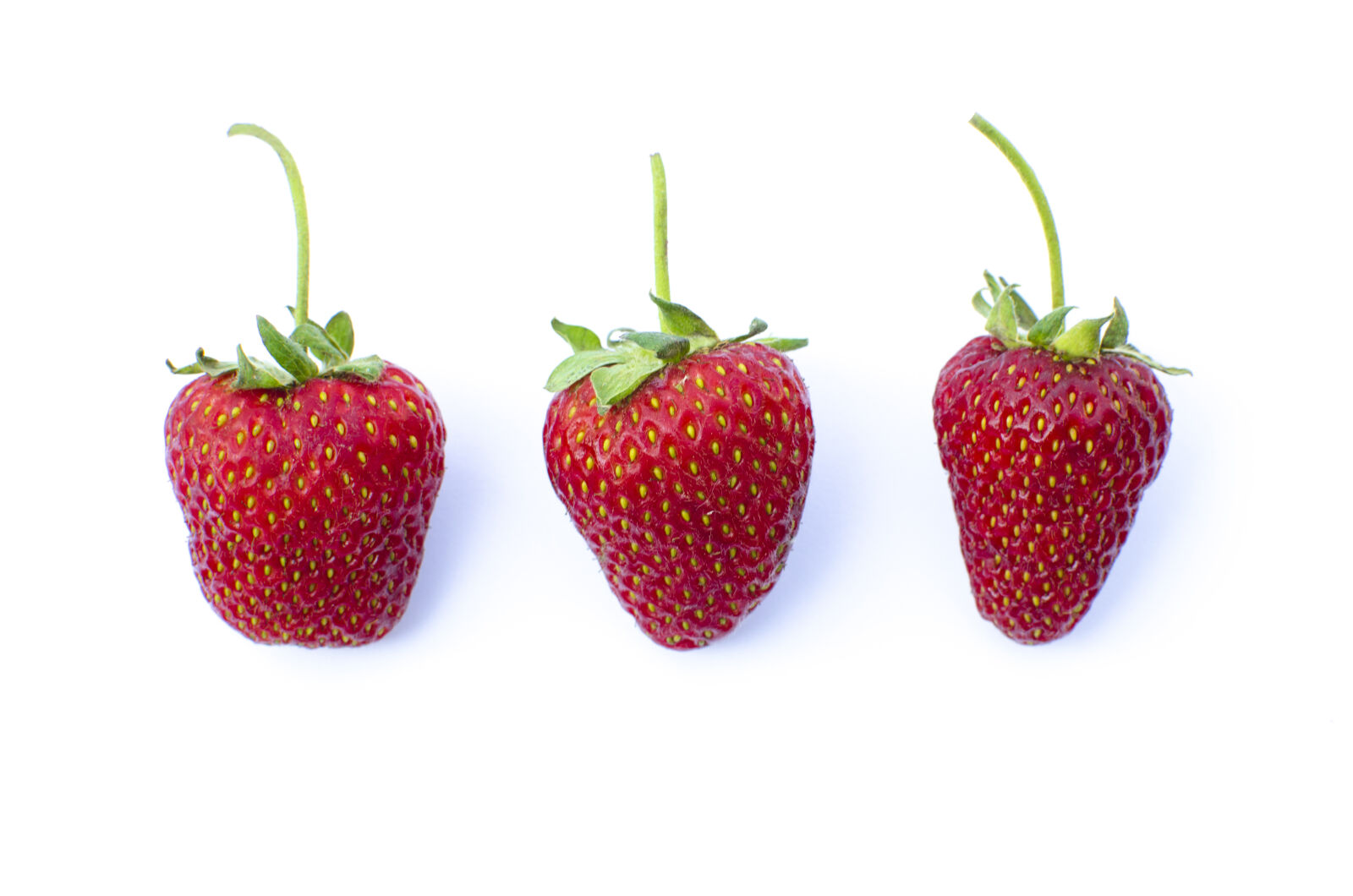 Nikon D5100 + Nikon AF-S DX Nikkor 35mm F1.8G sample photo. Background, beautiful, berry, closeup photography