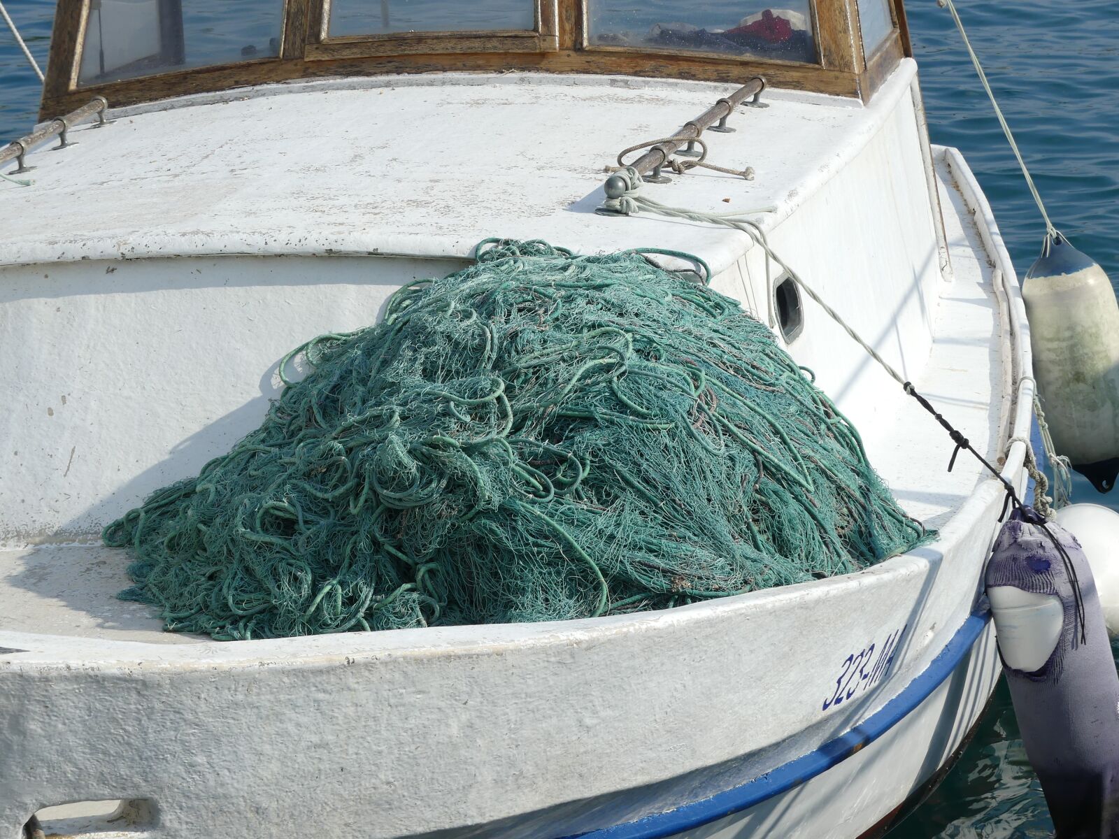 Panasonic Lumix DMC-FZ300 sample photo. Fishing, catch, sea photography