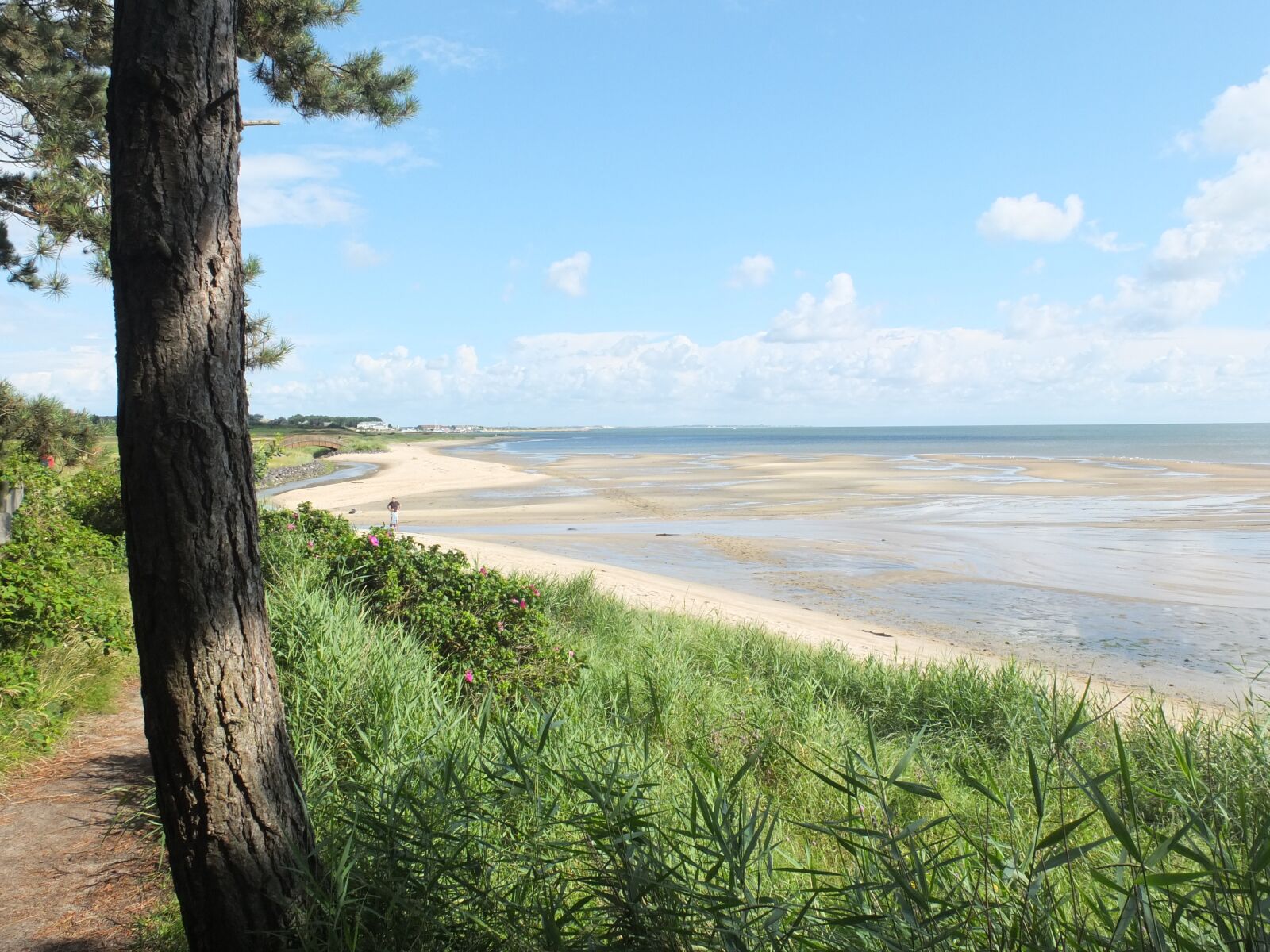 Fujifilm X10 sample photo. Sylt, wadden sea, north photography