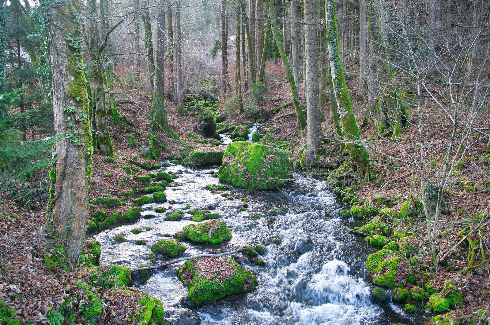 Nikon D3200 sample photo. Torrent, foron, landscape photography