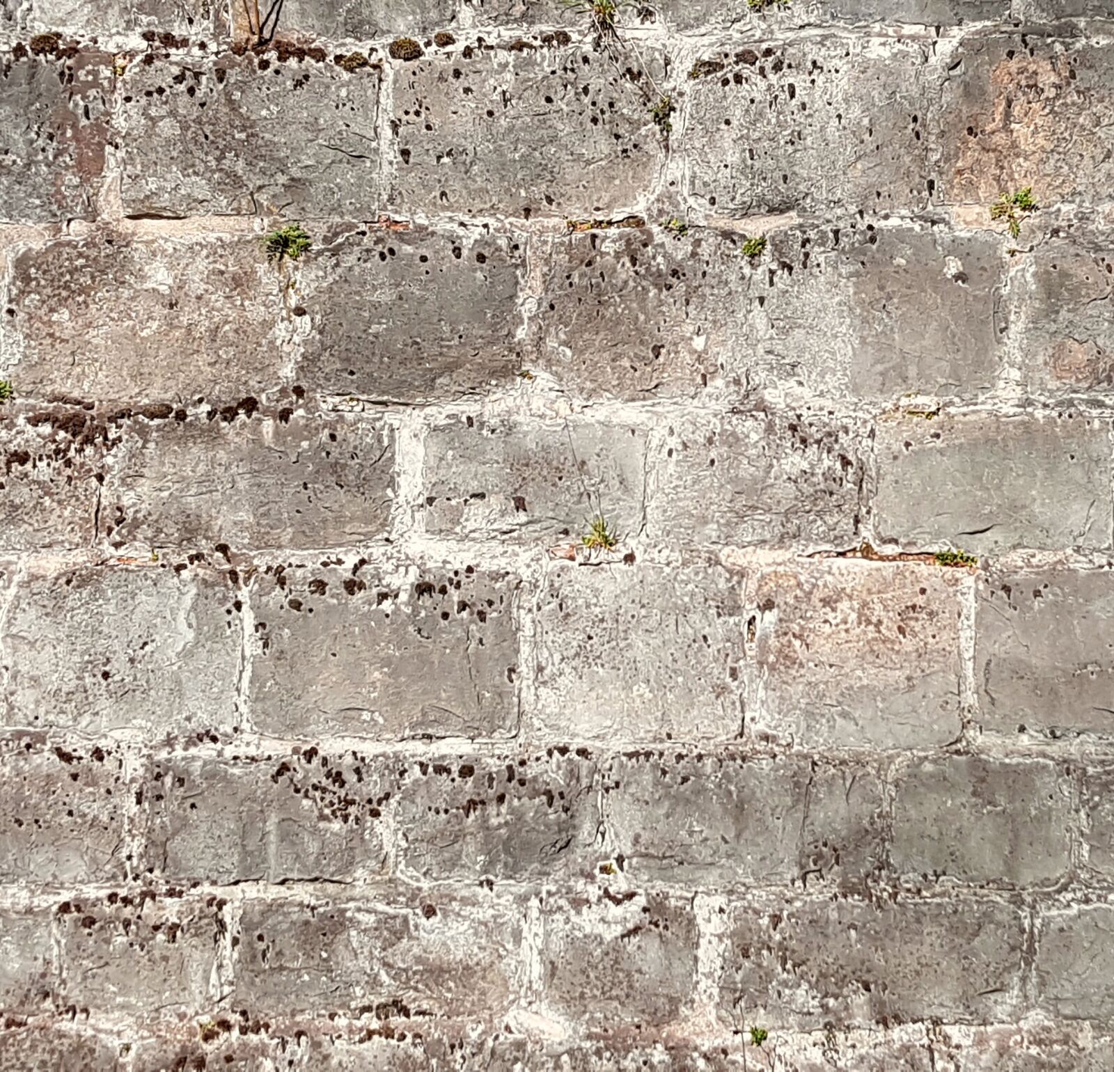 Samsung Galaxy S7 sample photo. Texture, background, wall photography