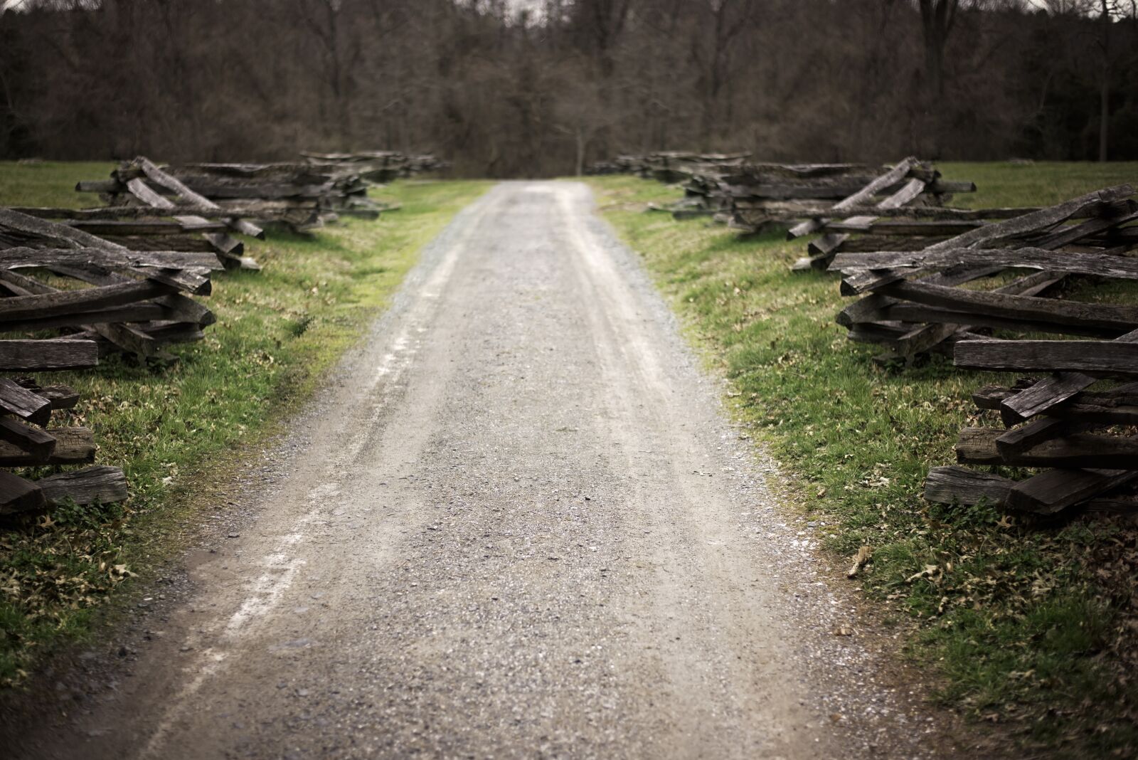 Nikon D750 sample photo. Sully plantation, road, fence photography