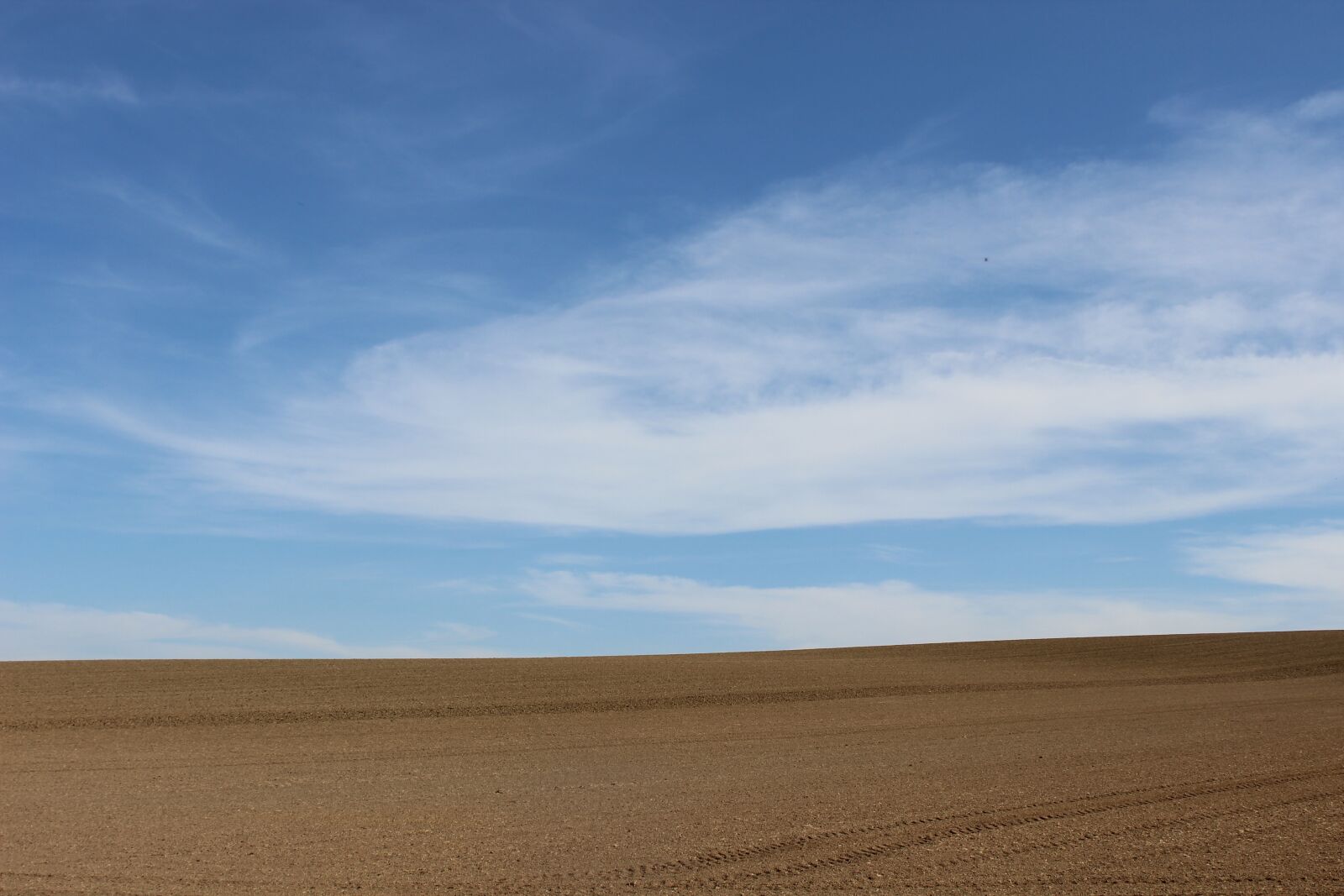 Canon EOS 600D (Rebel EOS T3i / EOS Kiss X5) sample photo. Sky, spring, freshly sown photography