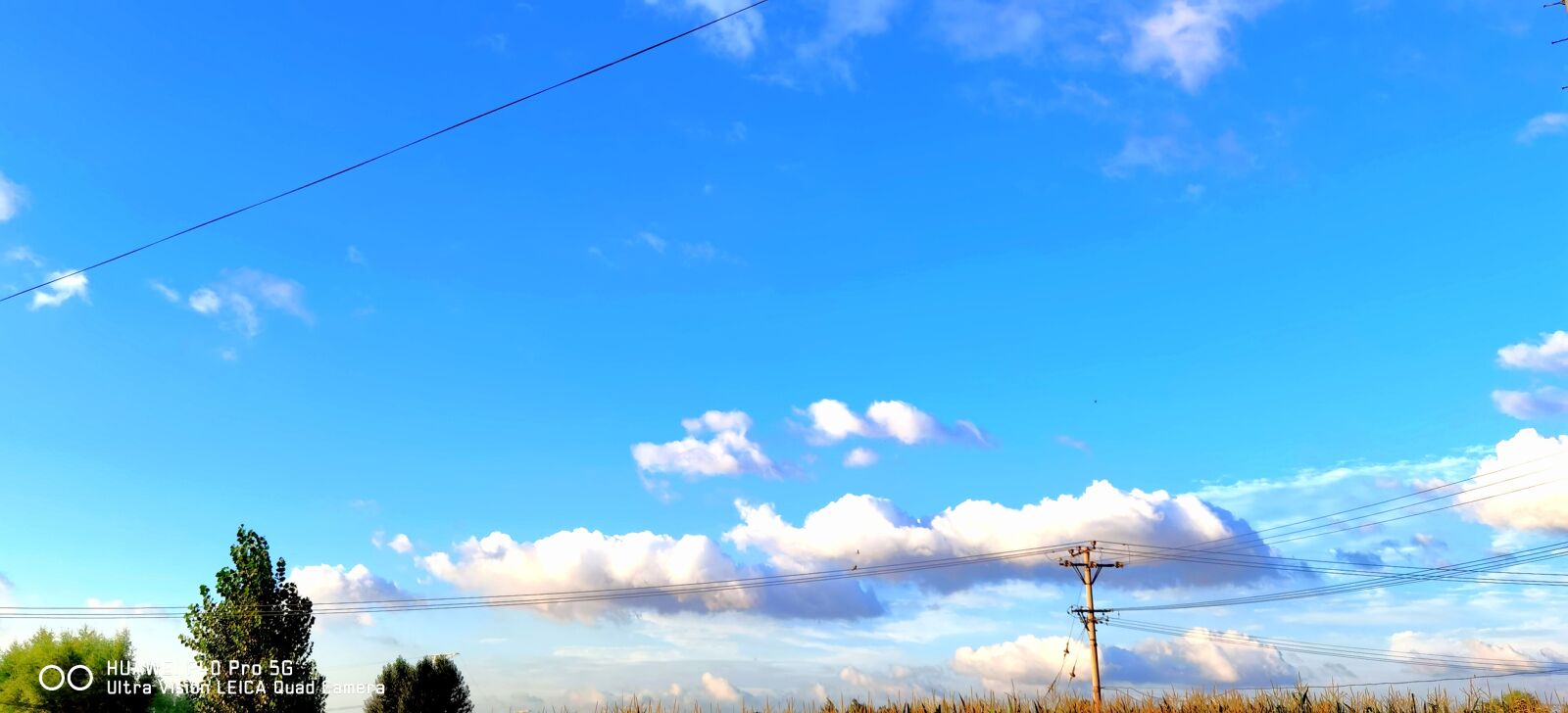 HUAWEI ELS-AN00 sample photo
