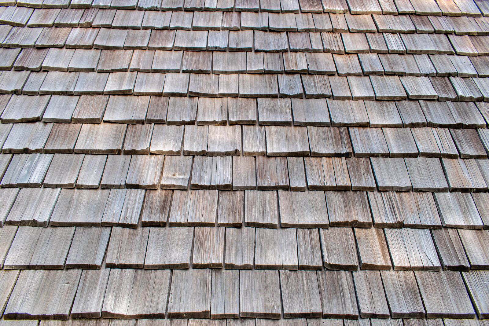 Nikon D5300 sample photo. Roof, wood, wooden roof photography