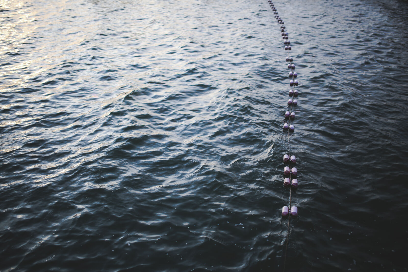 Canon EOS 6D + Sigma 35mm F1.4 DG HSM Art sample photo. Buoys, floating, on, top photography