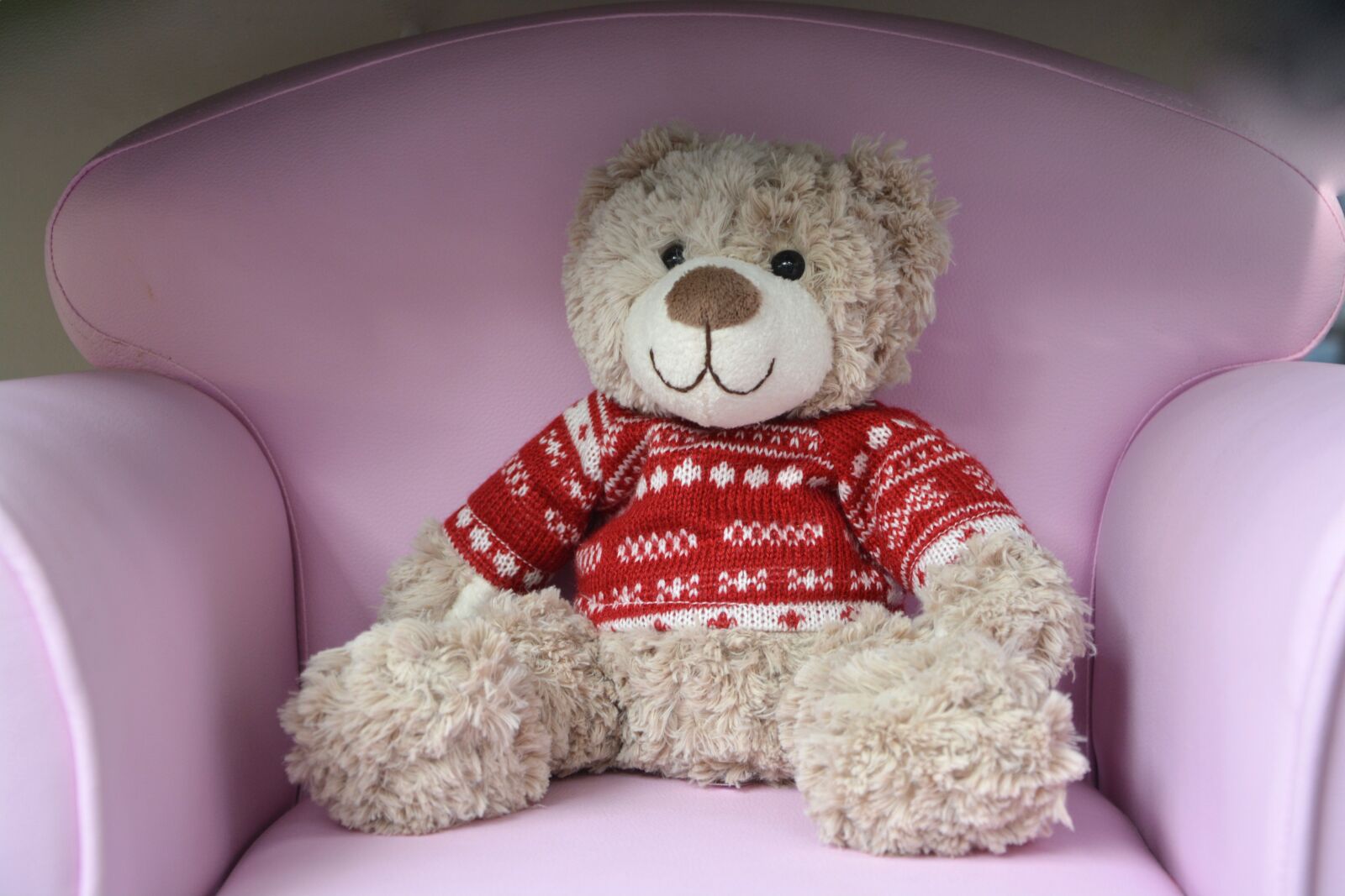 Nikon D5200 sample photo. Bear plush, sitting, toy photography