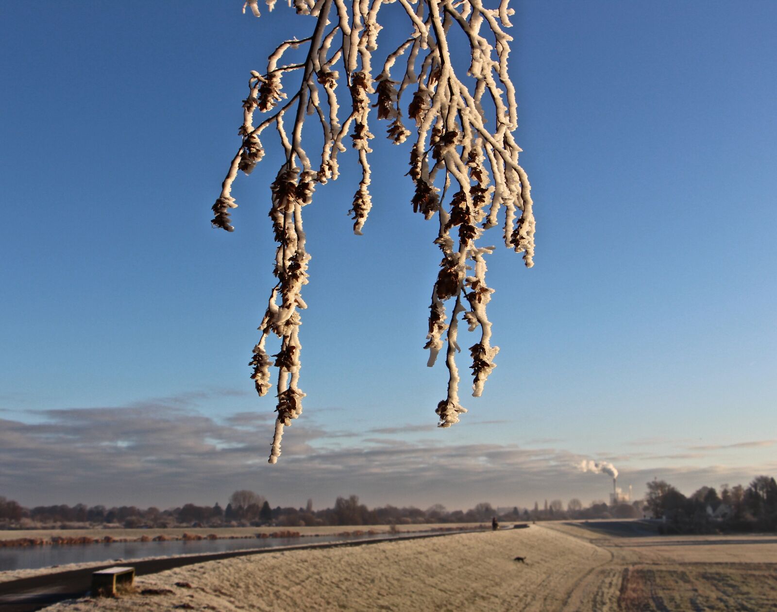 Canon EOS 700D (EOS Rebel T5i / EOS Kiss X7i) sample photo. Winter, cold, nature photography