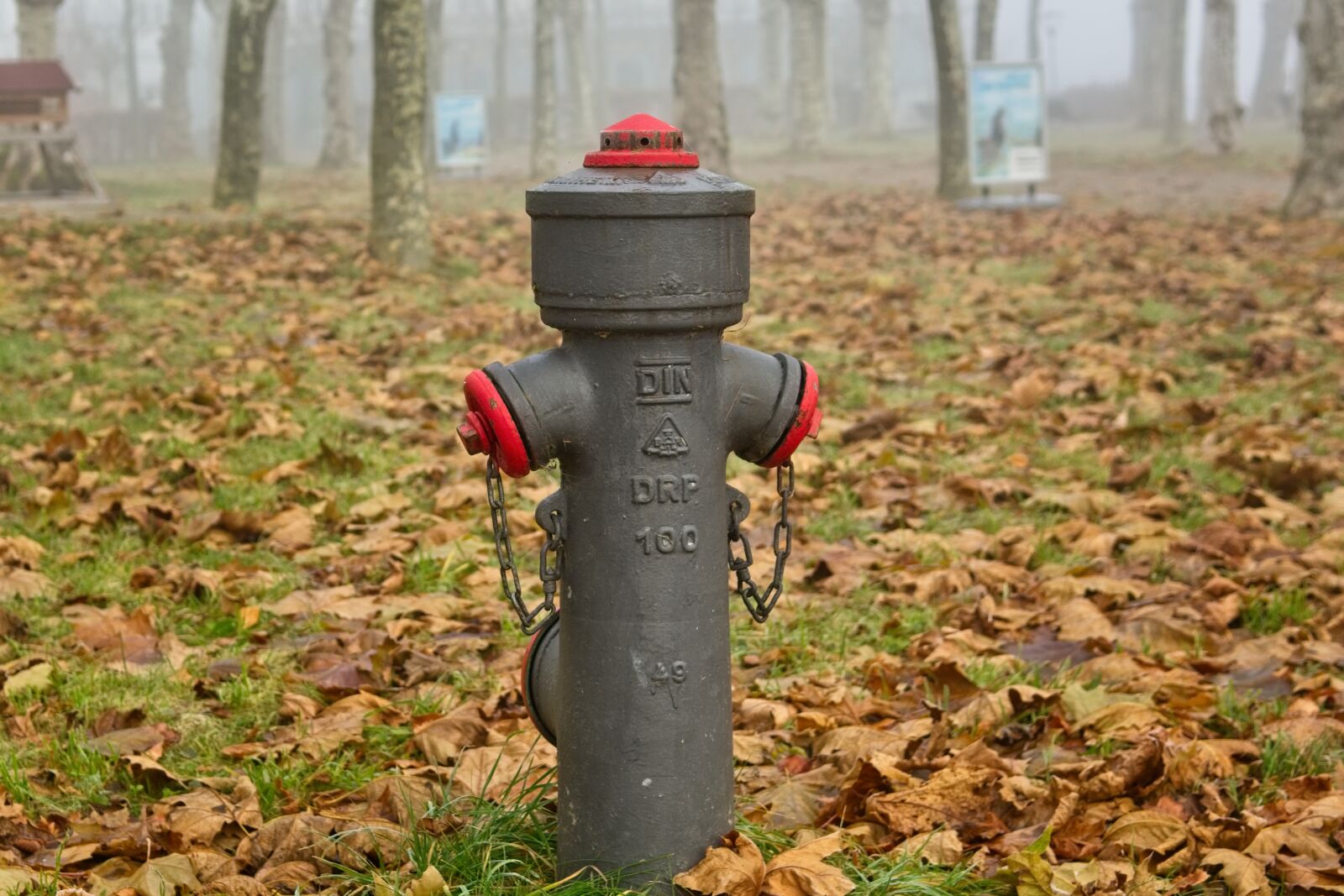 Nikon D7100 sample photo. Hydrant, watering hole, fire photography
