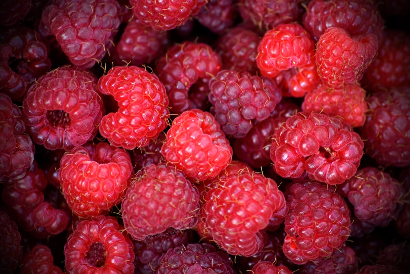 Nikon D80 sample photo. Fruit, eating, malina photography