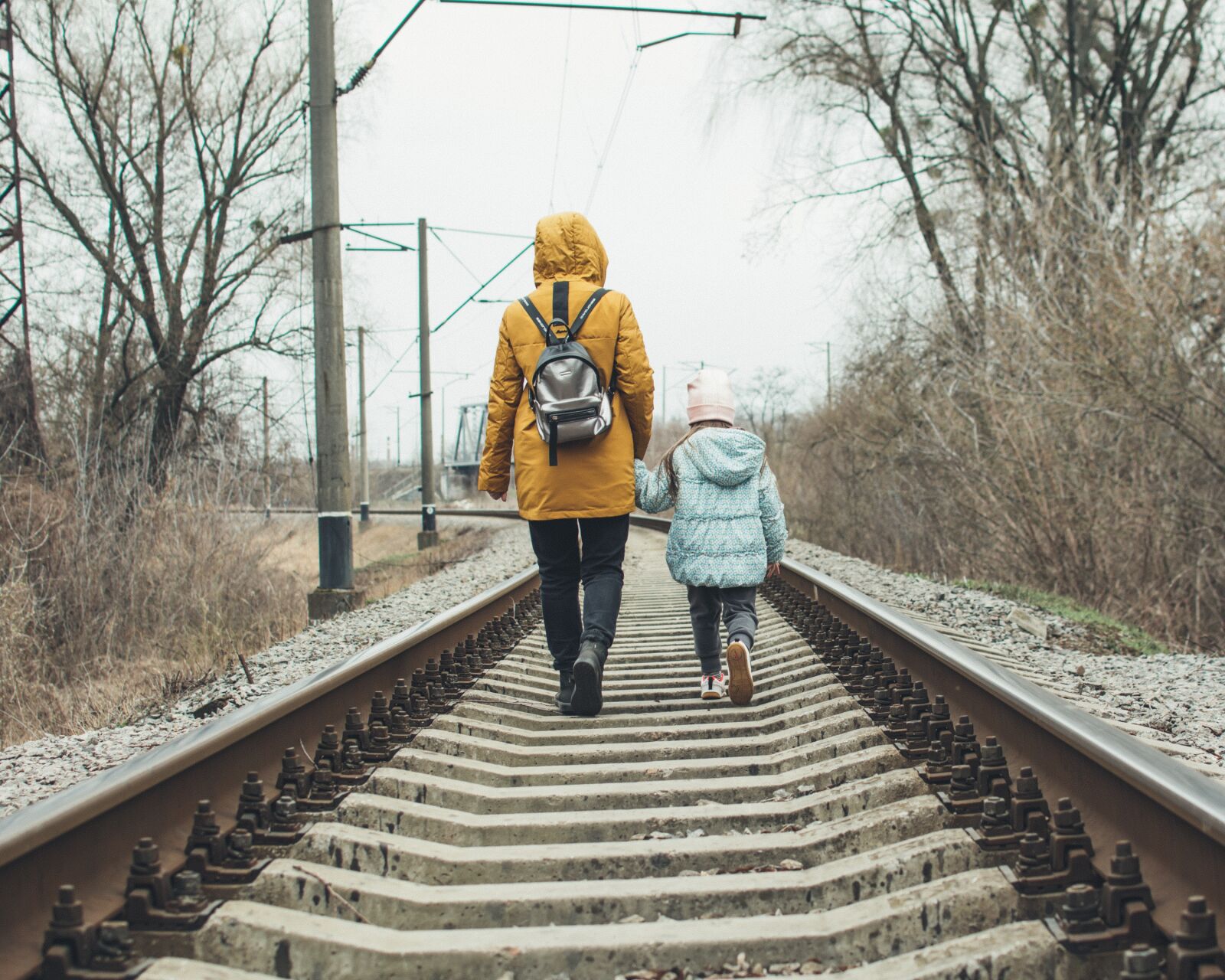 Nikon D5200 sample photo. Stroll, rails, landscape photography