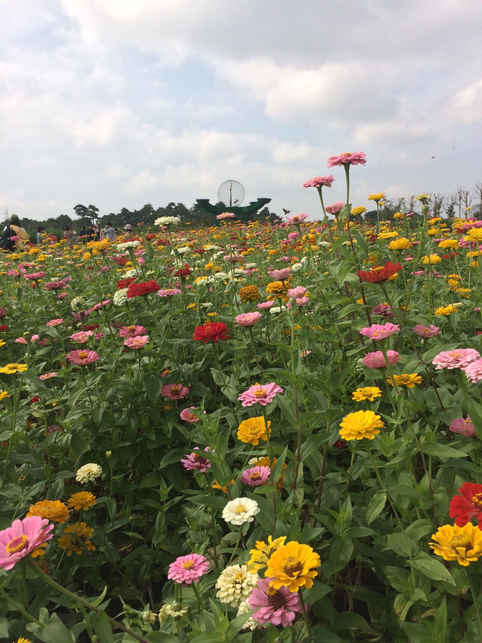 iPhone 5s back camera 4.15mm f/2.2 sample photo. Flower, sky, hill photography