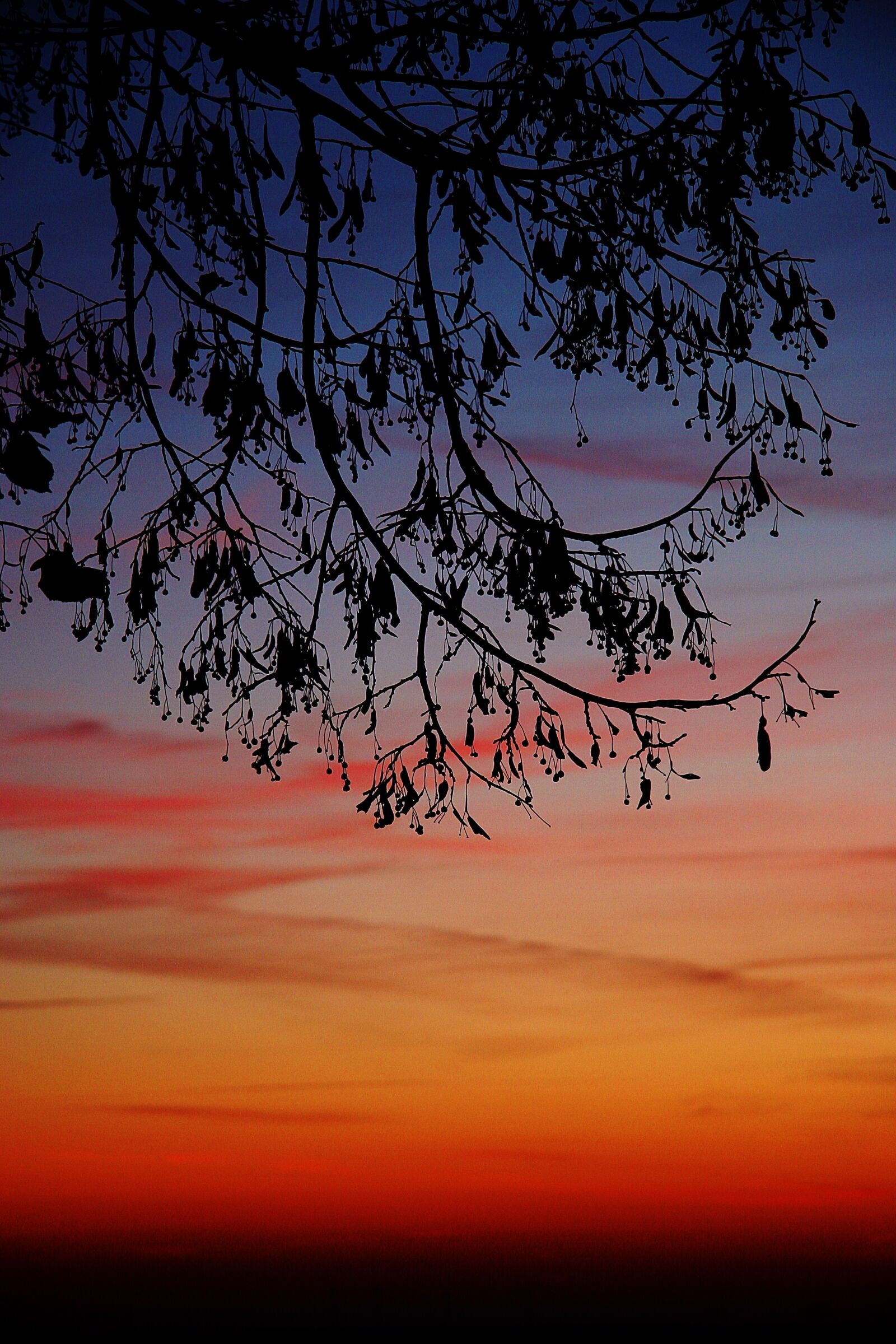 Canon EOS 20D sample photo. Gloomy, mystical, clouds photography