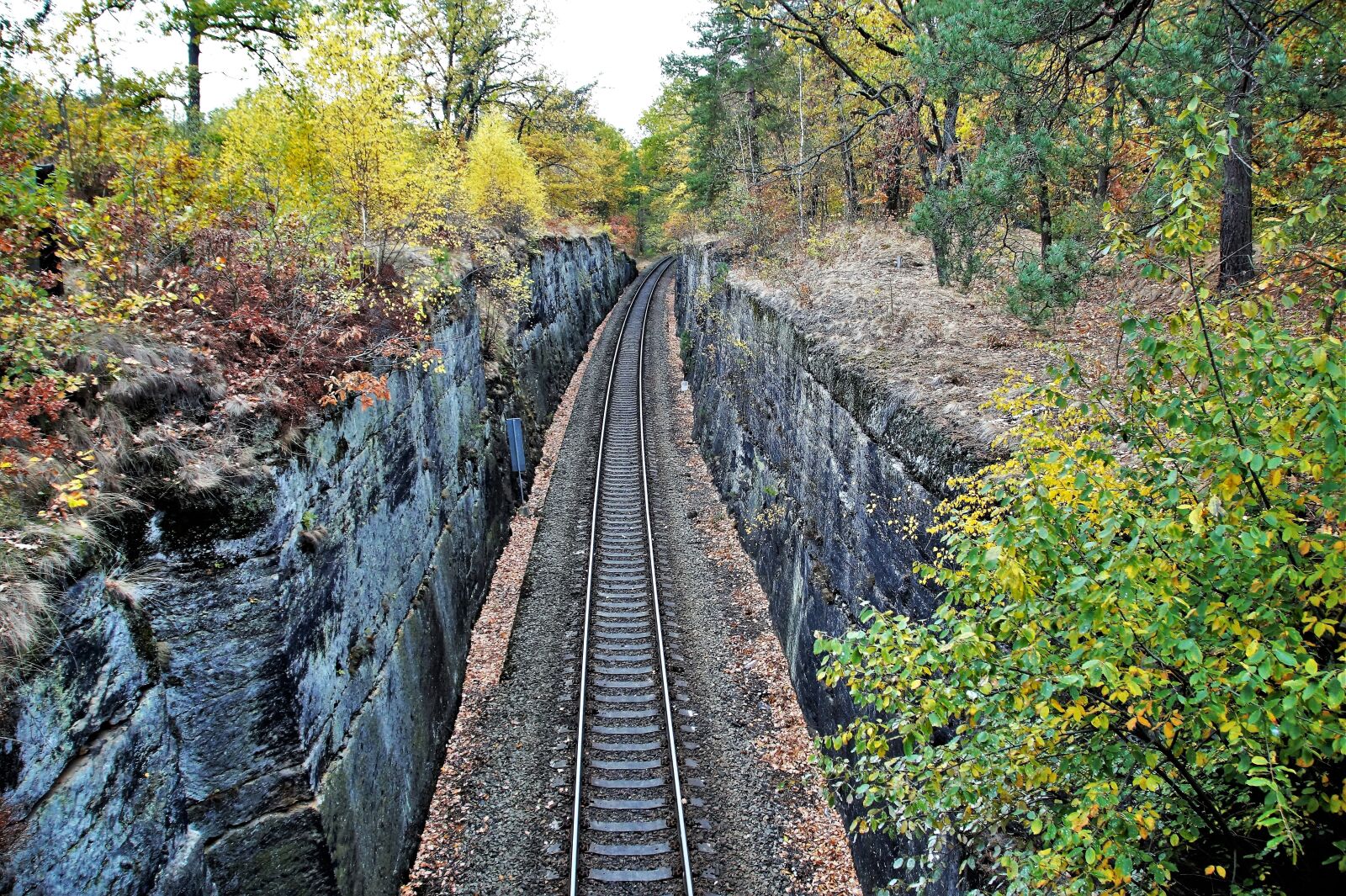 Sony SLT-A58 sample photo. Track, train, railway photography
