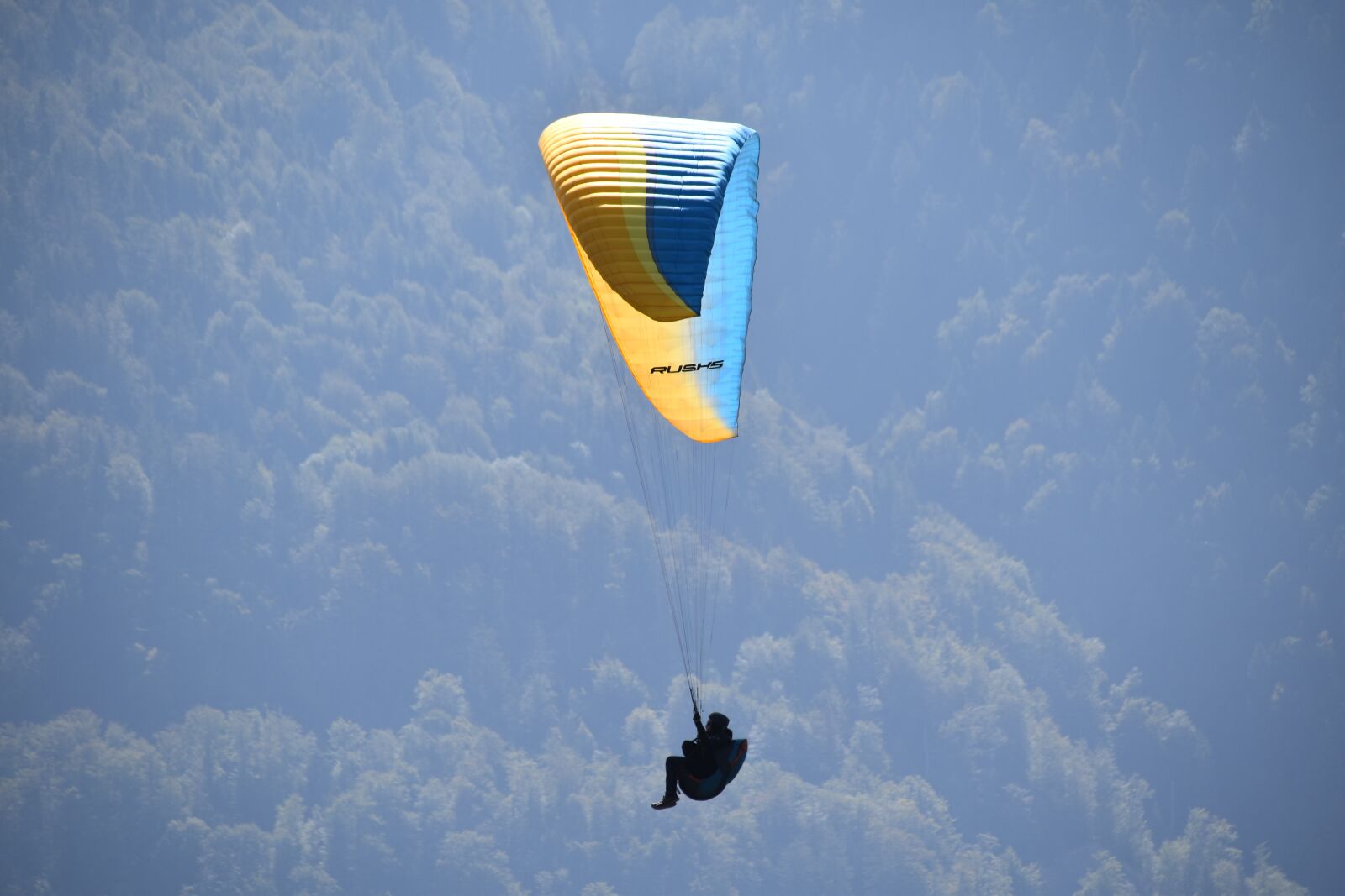 Nikon D5600 sample photo. Paragliding, paraglider, site la photography
