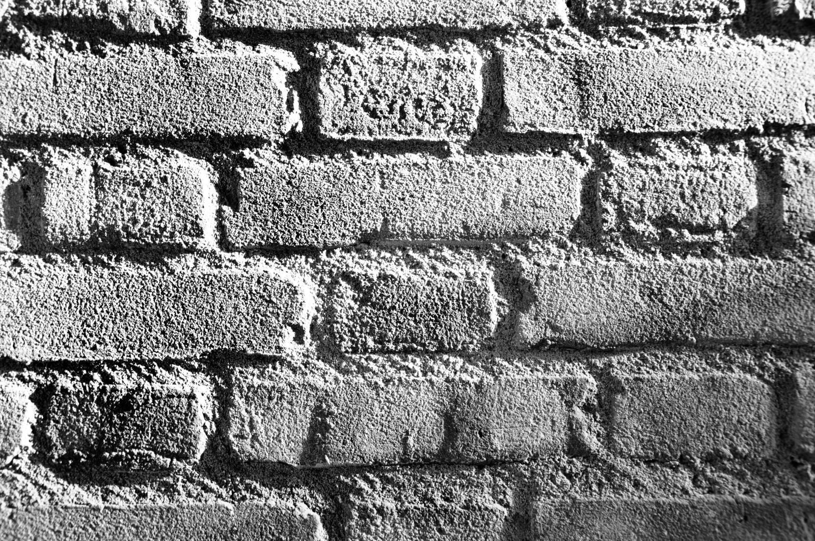 Nikon D90 sample photo. Brick, wall, brick wall photography