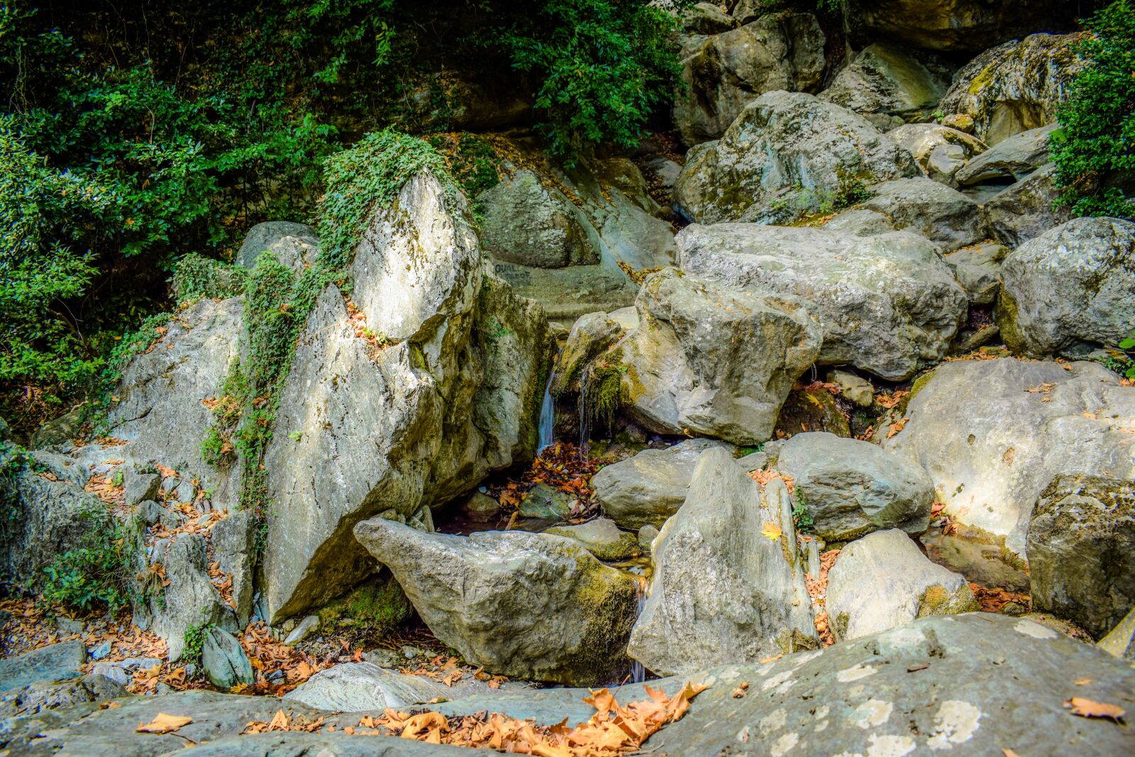 Nikon D3300 sample photo. Stream, rock, nature photography