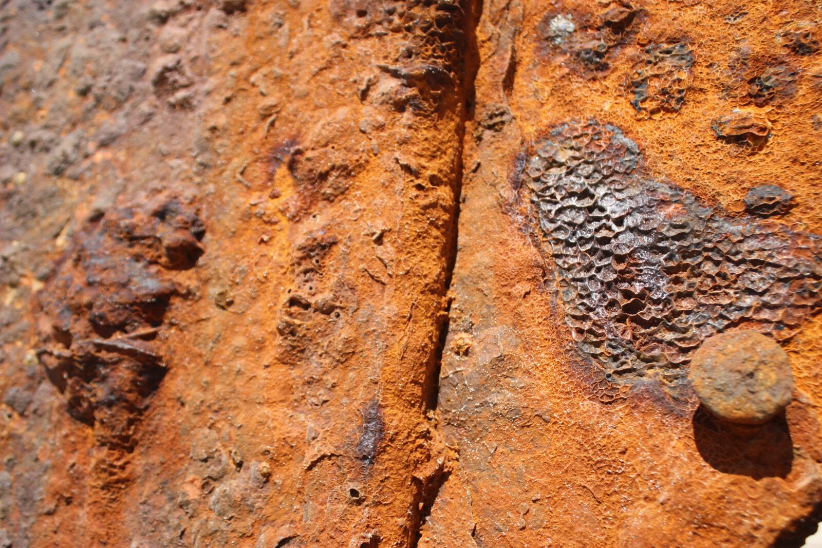Canon EOS 450D (EOS Rebel XSi / EOS Kiss X2) sample photo. Rust, ship, metal photography
