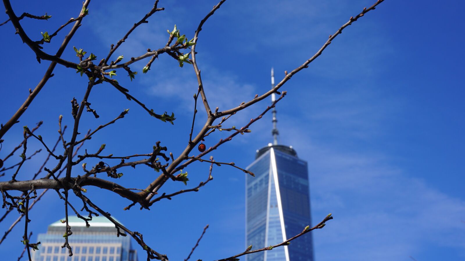 Sony a6000 sample photo. Manhattan, wtc, usa photography