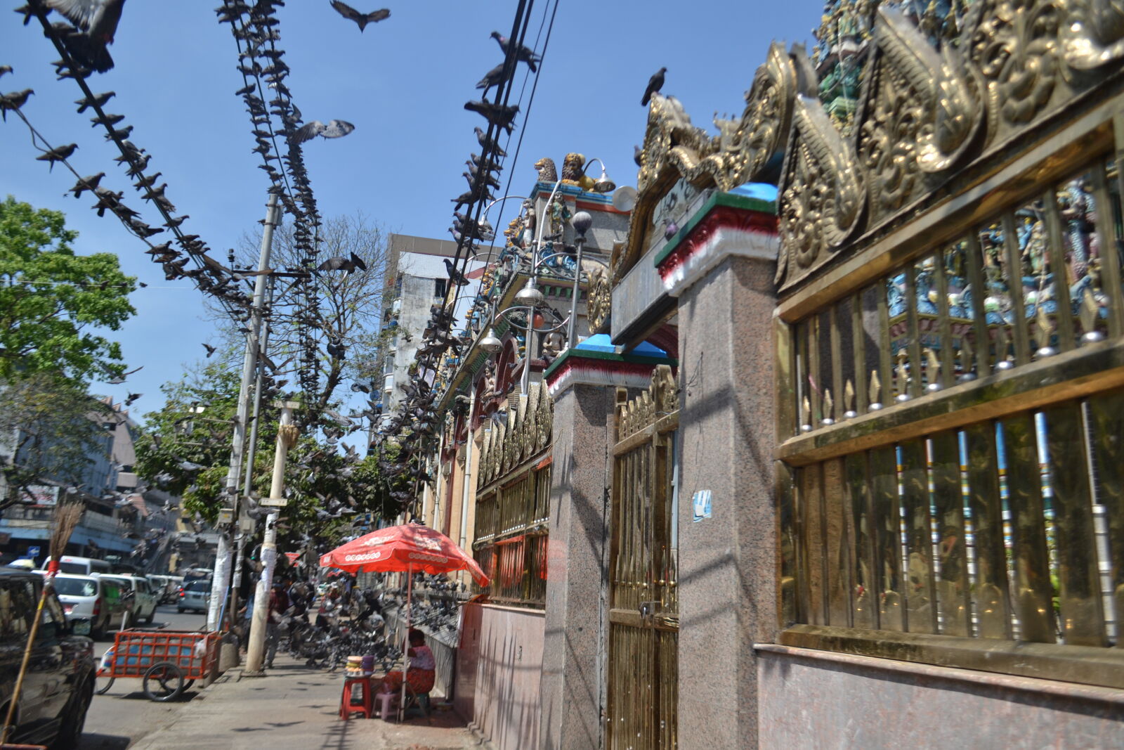 Nikon D3100 sample photo