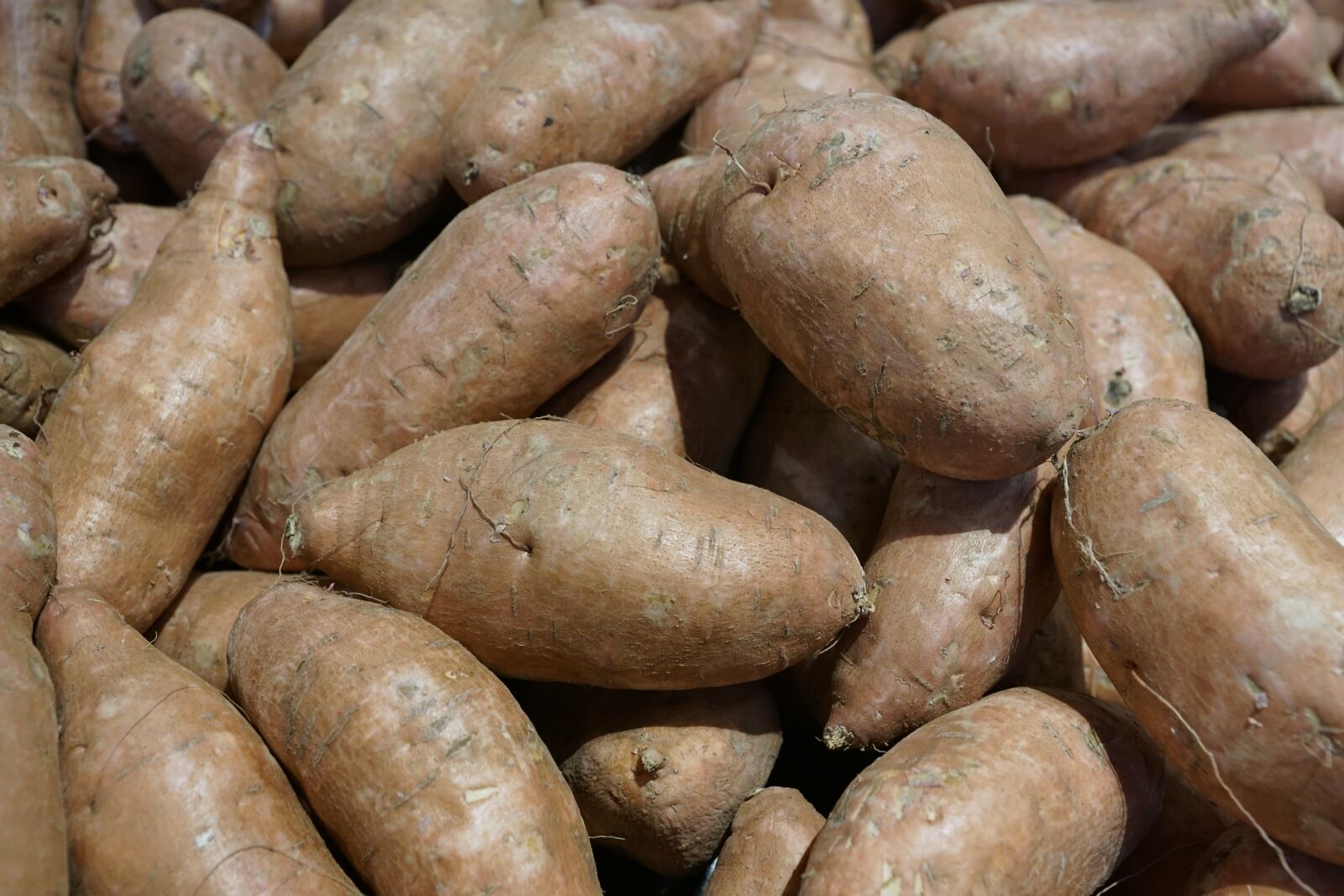 Sony ILCA-77M2 + Sony DT 16-50mm F2.8 SSM sample photo. Potatoes, eat, market photography