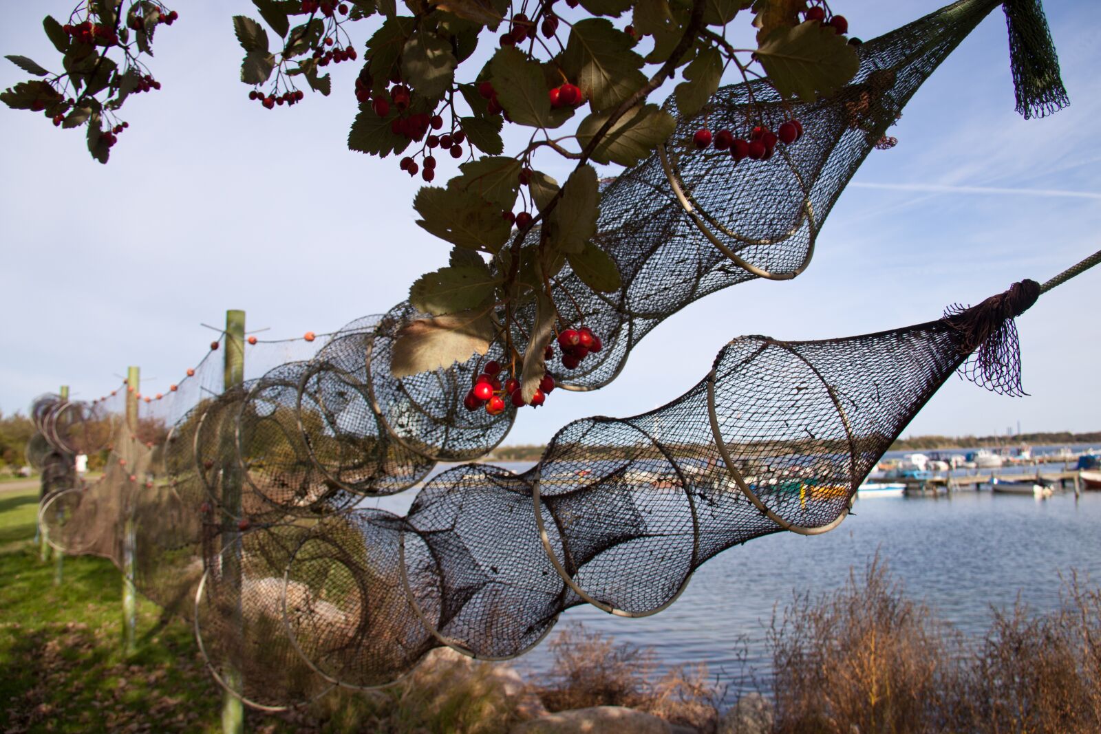 Canon EOS 50D sample photo. Eal, traps, drying photography