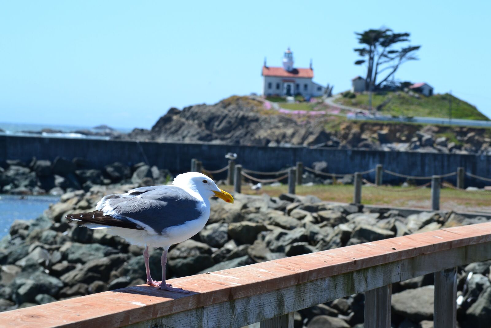 Nikon D3100 sample photo. Crescent, city, lighthouse photography