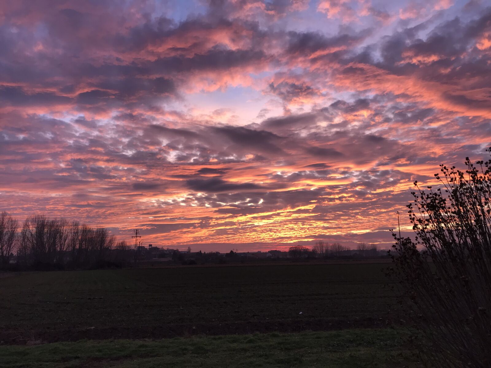 iPhone 7 back camera 3.99mm f/1.8 sample photo. Sky pink, orange sky photography