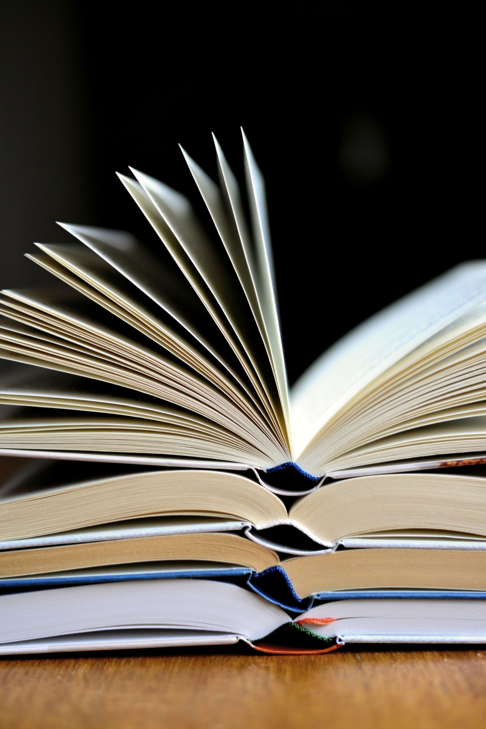 Nikon D610 sample photo. Book, read, book pages photography