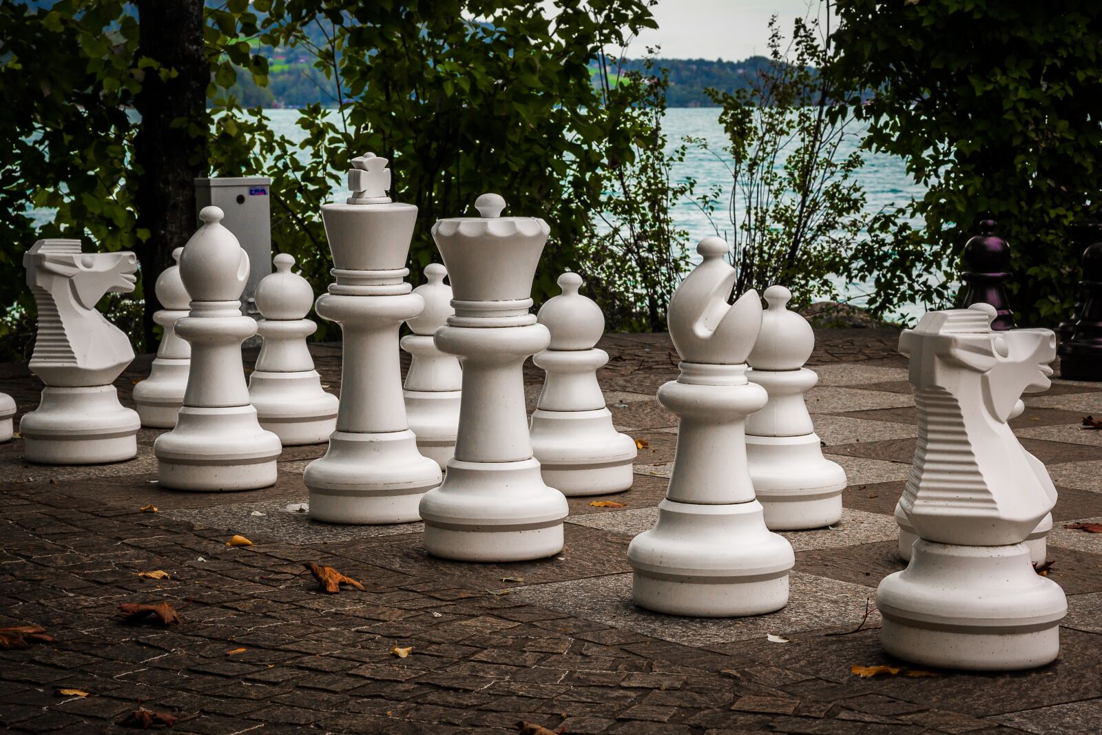 Canon EF 24-105mm F4L IS USM sample photo. Chess, chess piece, chess photography