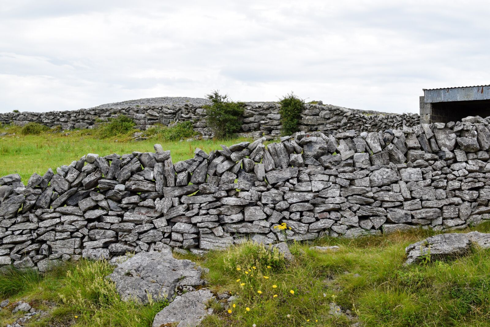 Nikon D3300 sample photo. Stone wall, wall, hage photography