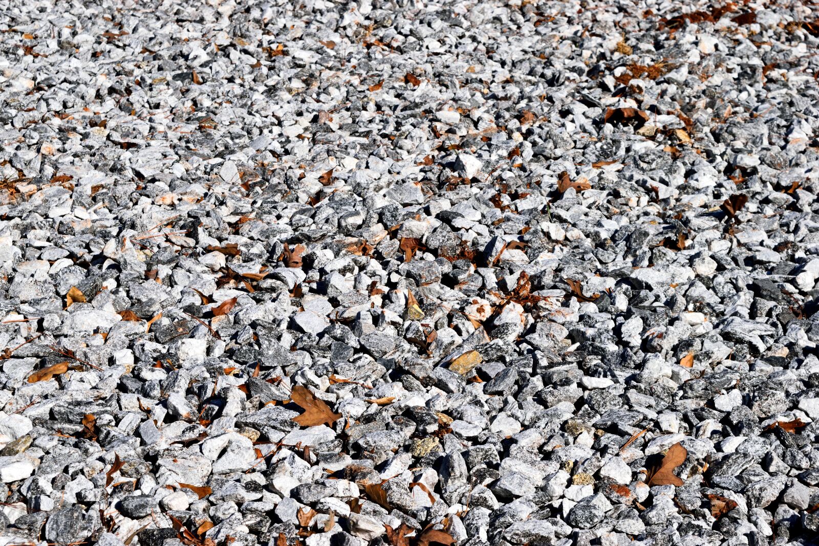 Nikon D3300 sample photo. Pattern, rough, stone photography