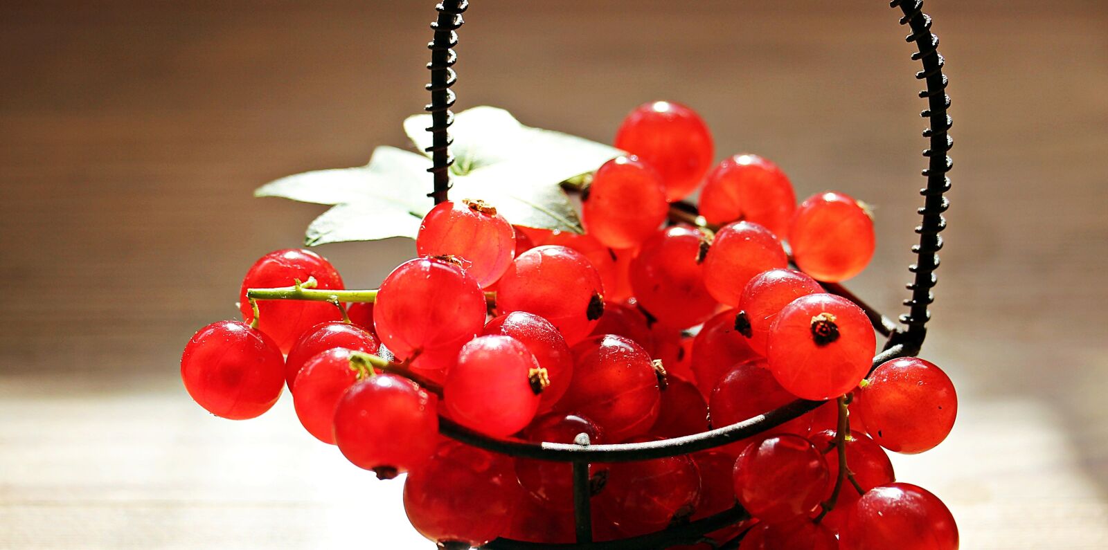 Canon EOS 550D (EOS Rebel T2i / EOS Kiss X4) sample photo. Currants, fruit, red currant photography