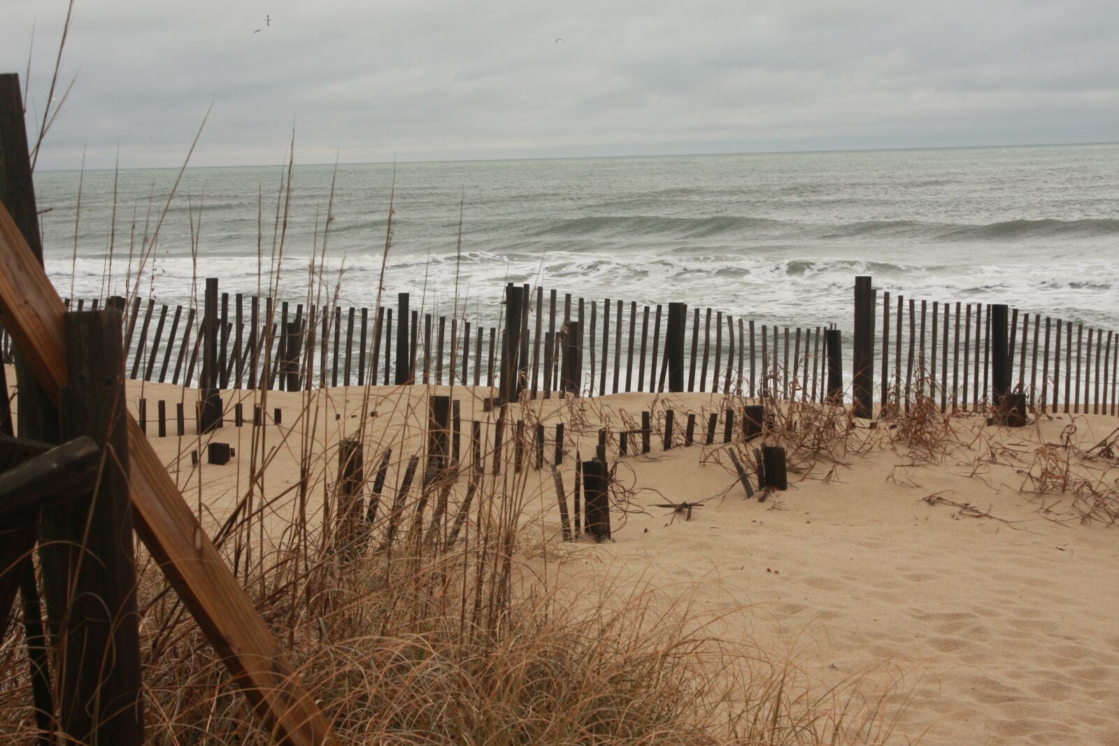 Canon EOS 40D sample photo. Outer banks, north carolina photography
