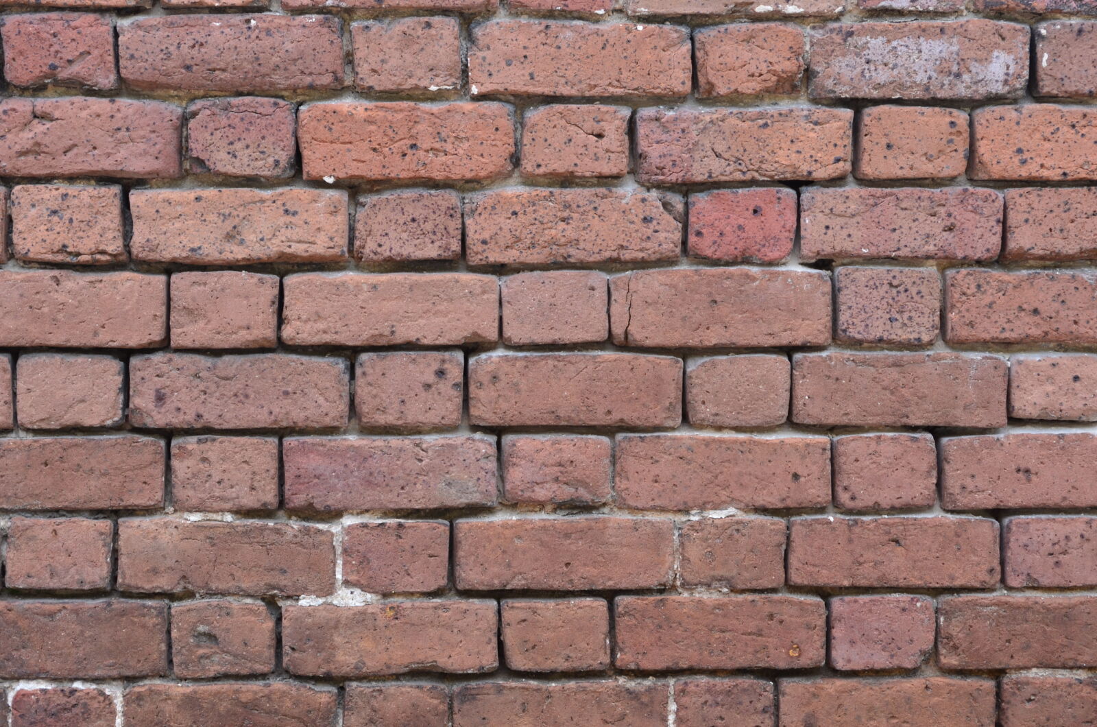 Nikon D5100 sample photo. Brick, texture, brick, wall photography