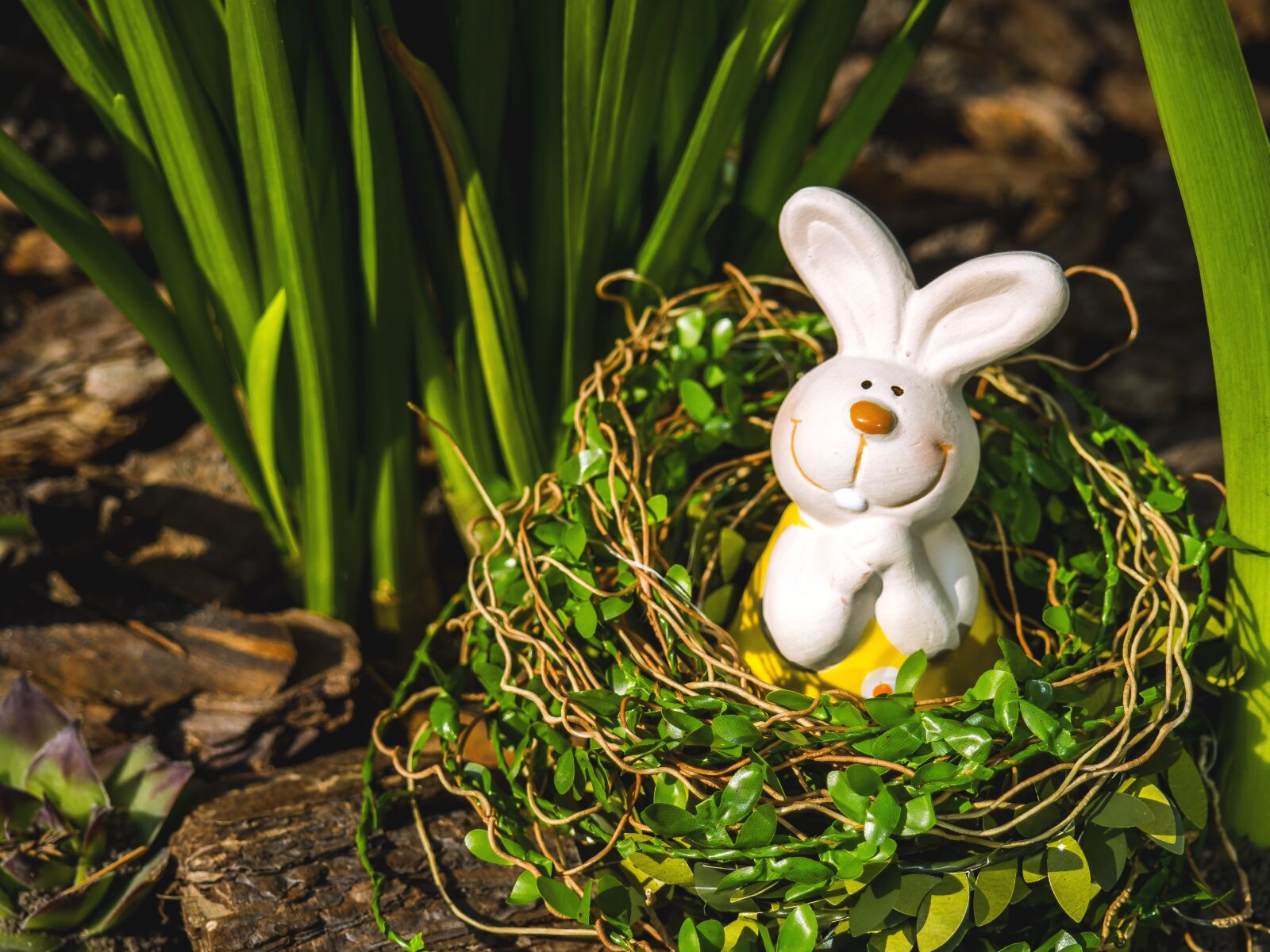 Olympus OM-D E-M10 II sample photo. Easter, bunny, spring photography