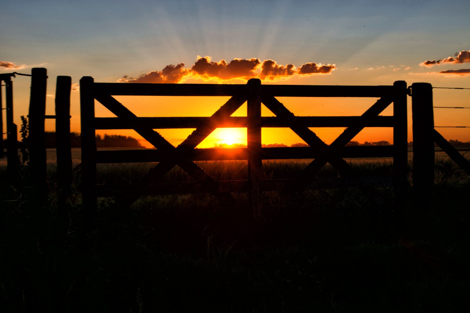 Nikon D5200 sample photo. Gate, sun, sunset photography